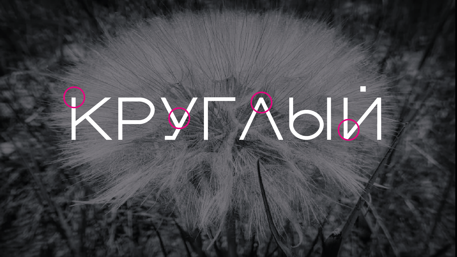 Шрифт CircleTipe — Изображение №2 — Графика на Dprofile
