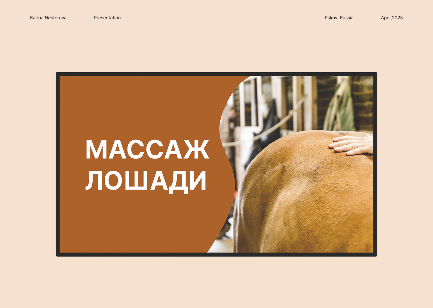 Презентация Массаж лошади \ Presentation Horse massage — Изображение №1 — Графика, Маркетинг на Dprofile