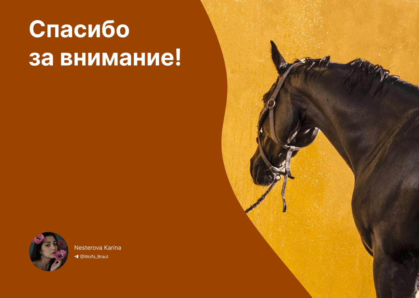 Презентация Массаж лошади \ Presentation Horse massage — Изображение №8 — Графика, Маркетинг на Dprofile