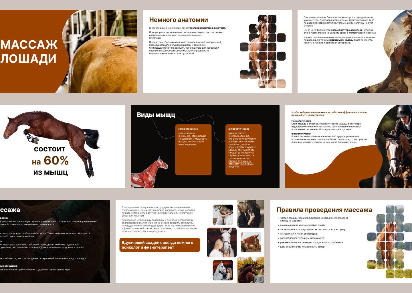 Презентация Массаж лошади \ Presentation Horse massage — Изображение №7 — Графика, Маркетинг на Dprofile