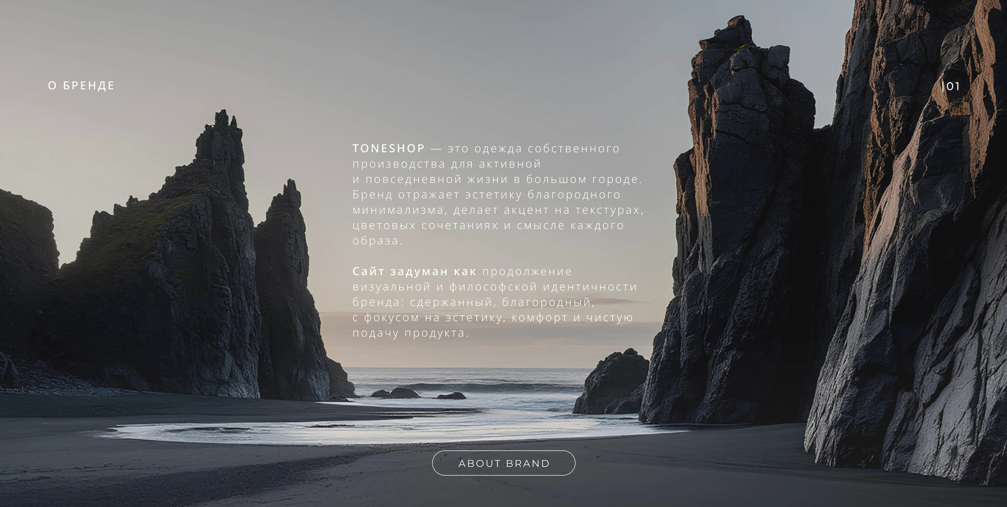 UX/UI & WEB DESIGN (MINIMALIST FASHION STORE) — Изображение №2 — Интерфейсы на Dprofile