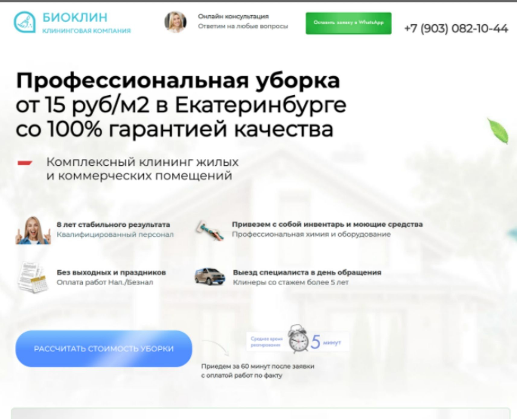 Клининговая компания — Интерфейсы, Брендинг на Dprofile