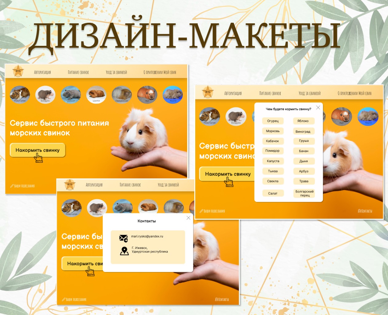 Сервис для быстрого питания морских свинок — Интерфейсы на Dprofile
