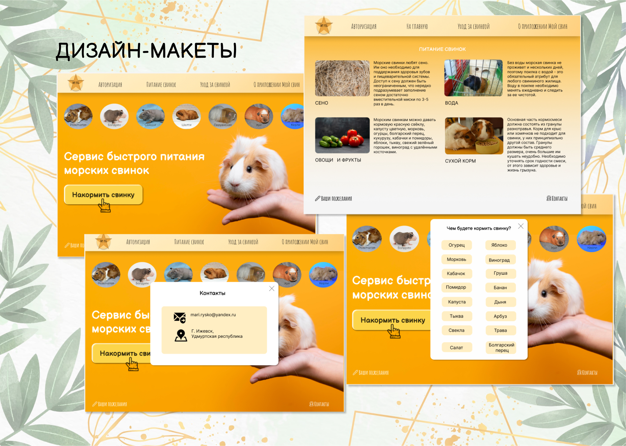 Сервис для быстрого питания морских свинок — Изображение №2 — Интерфейсы на Dprofile