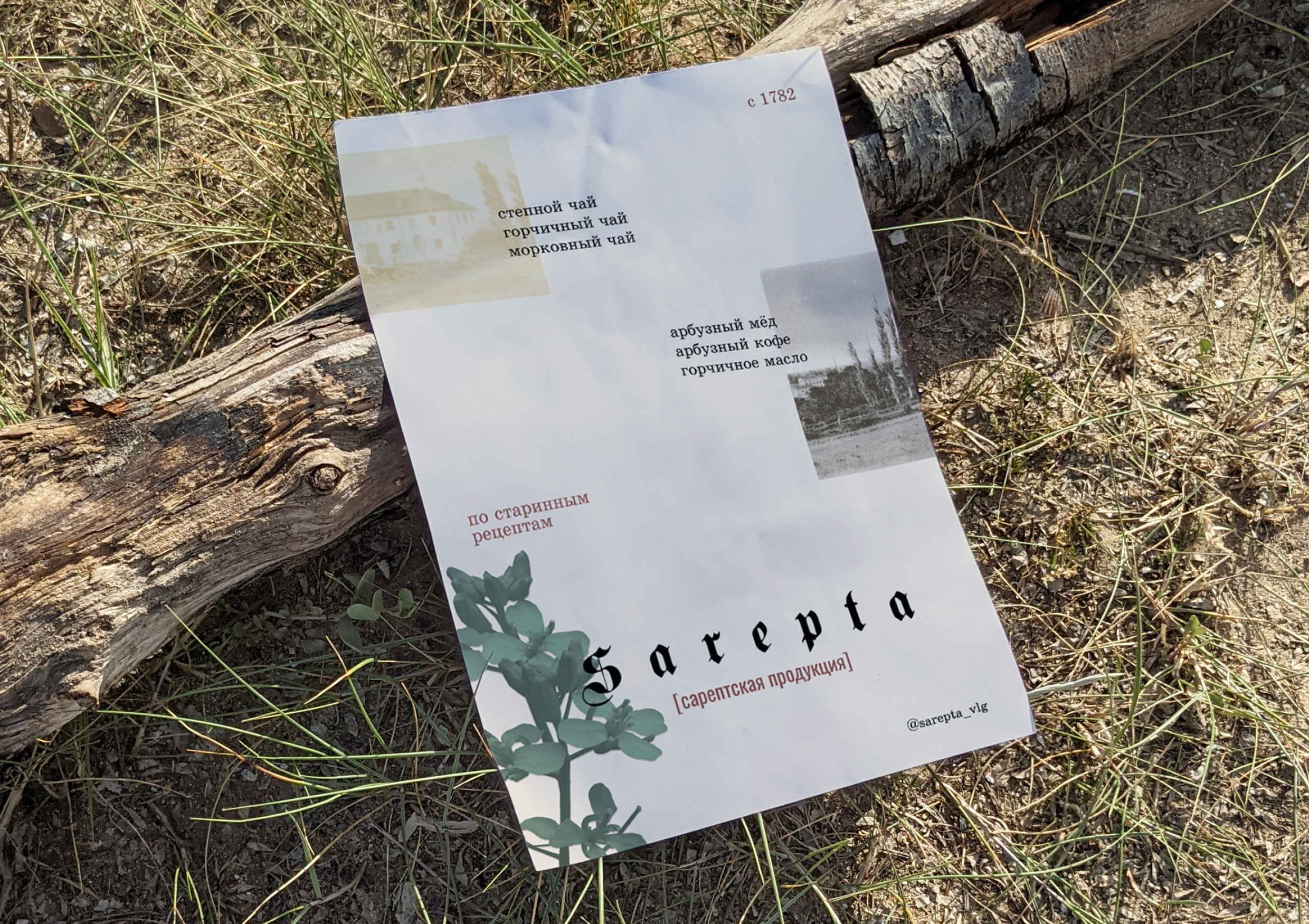 Sarepta — Изображение №3 — Брендинг на Dprofile