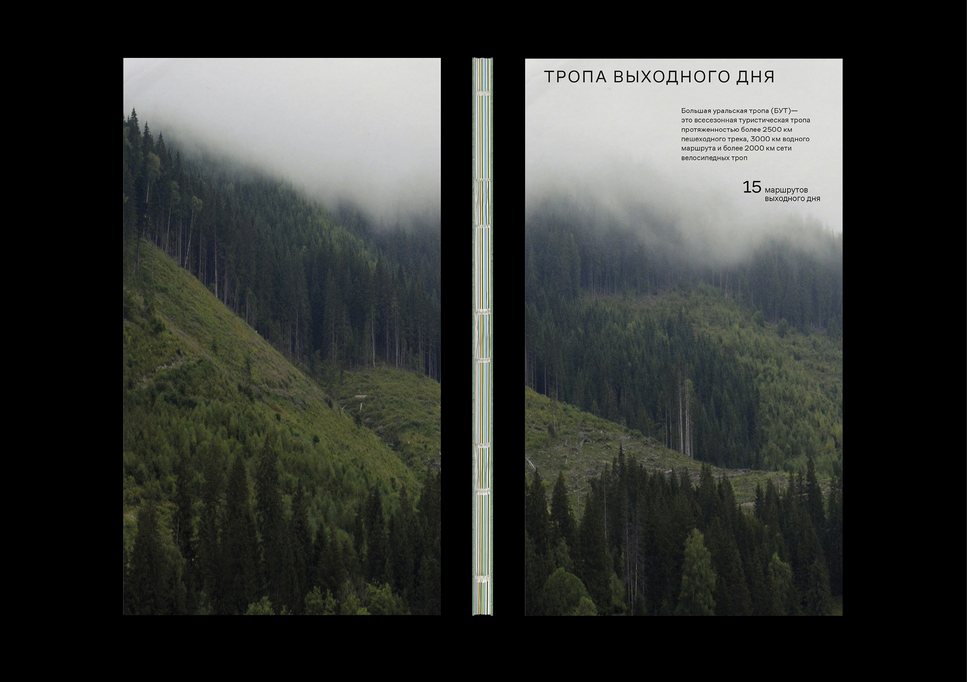 Book Design — Изображение №1 — Графика на Dprofile