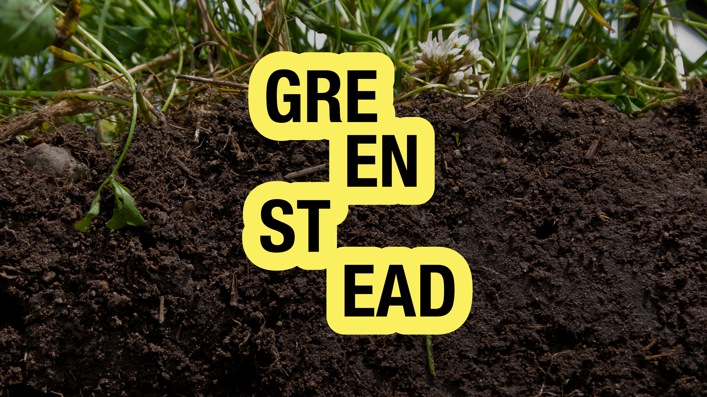 GREENSTEAD — бренд по производству и продаже удобрений — Изображение №1 — Брендинг на Dprofile