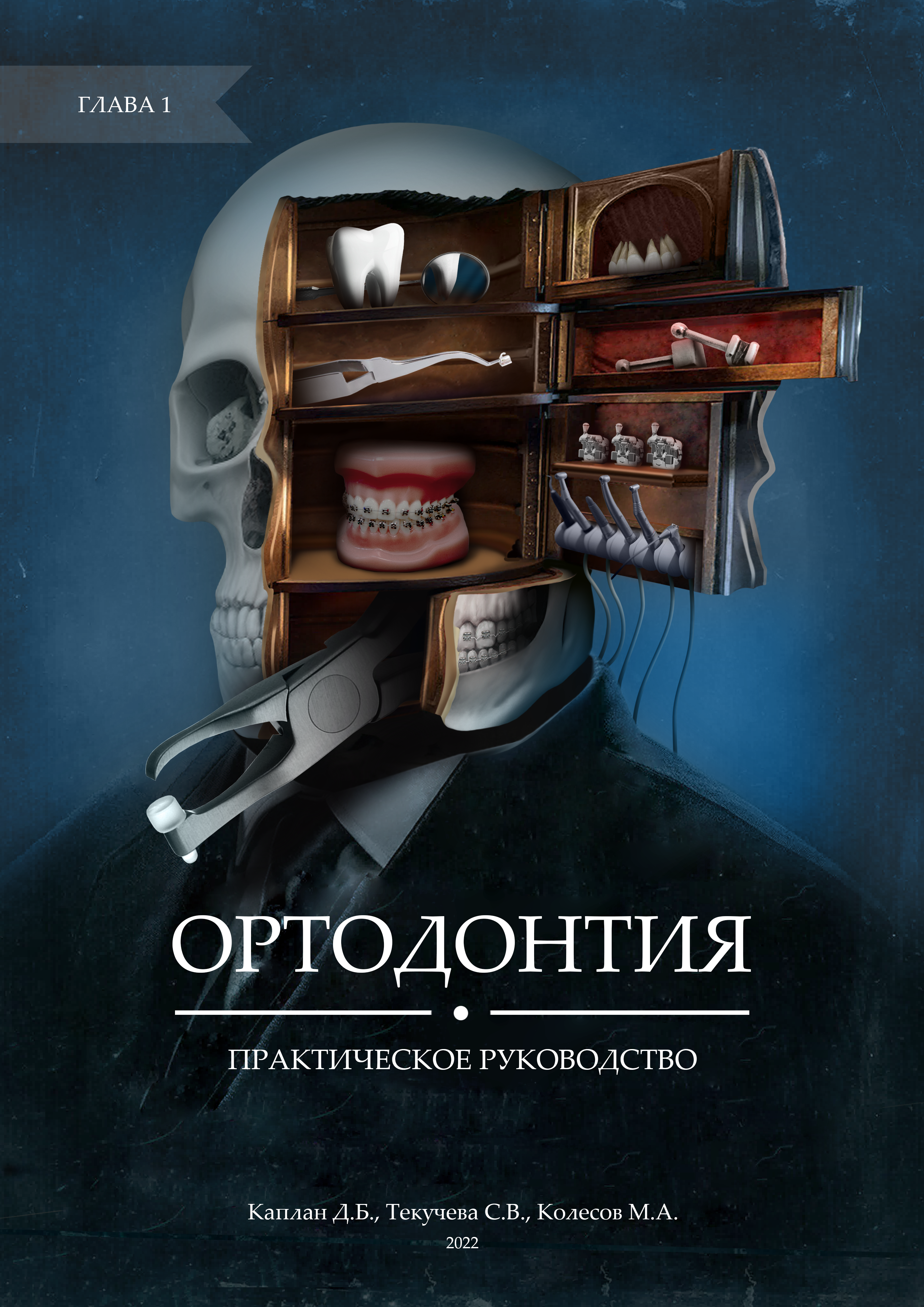 Разработка обложки для книги по стоматологии — Изображение №10 — Брендинг на Dprofile
