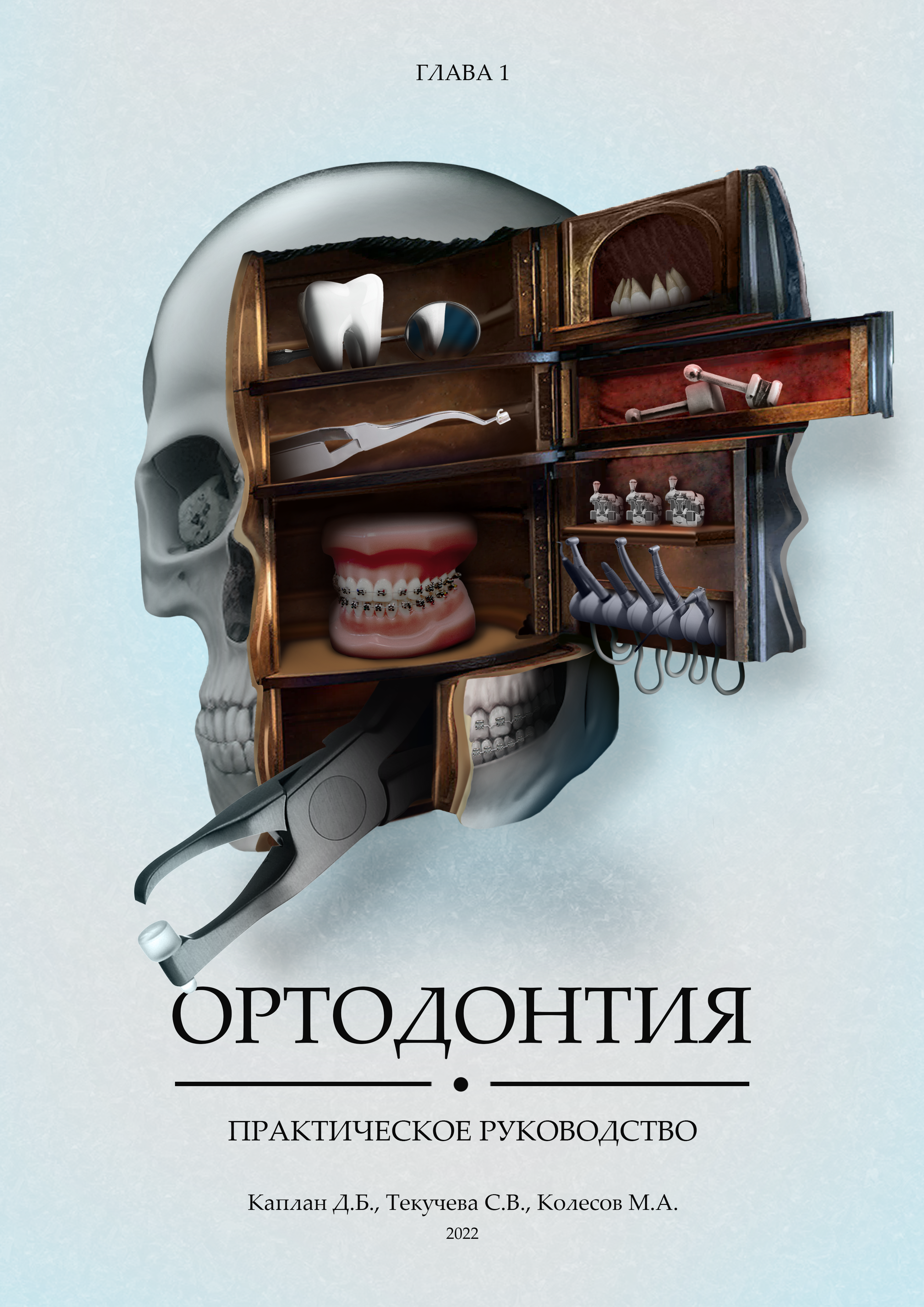 Разработка обложки для книги по стоматологии — Изображение №11 — Брендинг на Dprofile