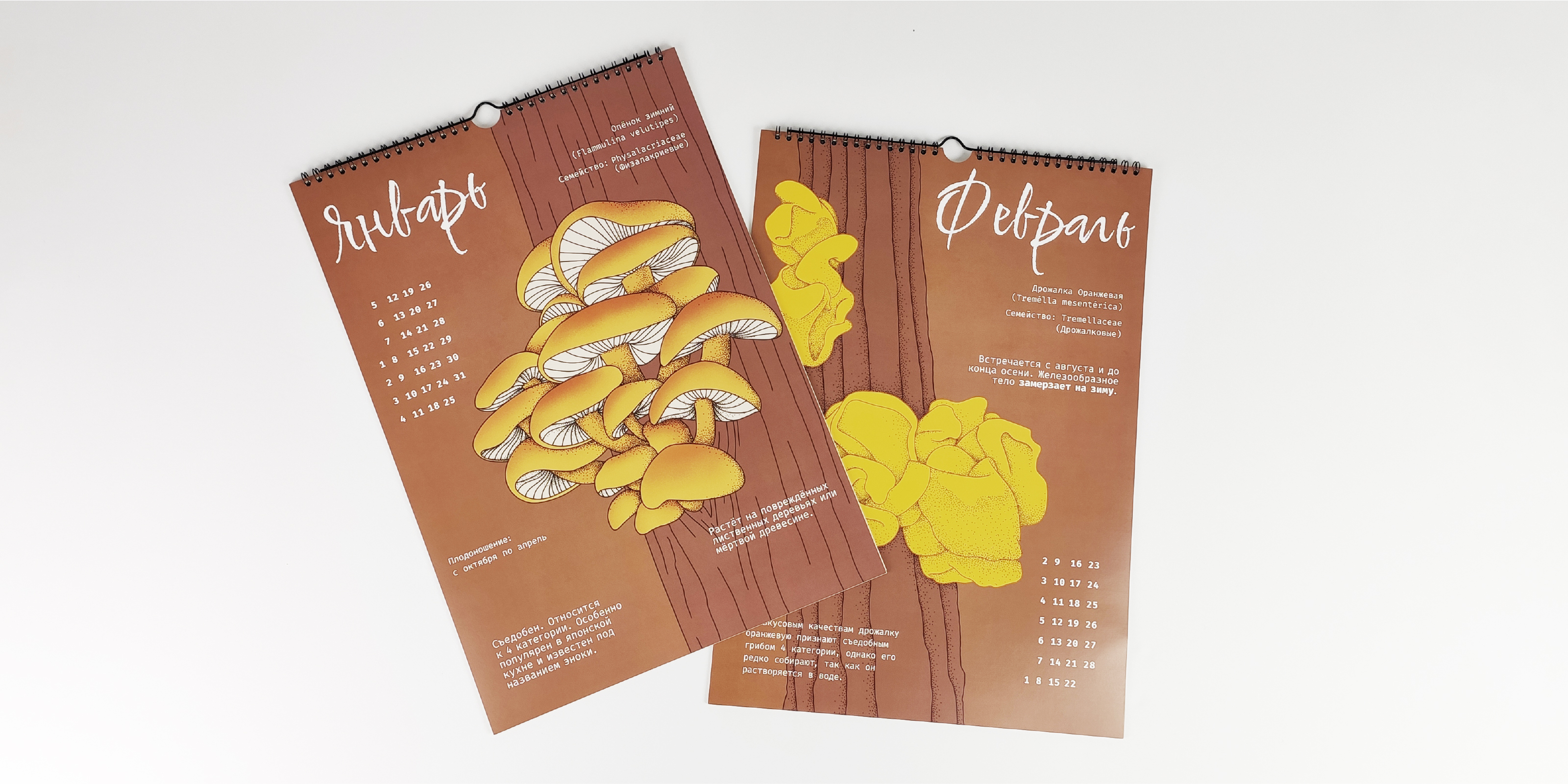 Календарь: Грибы — Изображение №3 — Брендинг, Иллюстрация на Dprofile