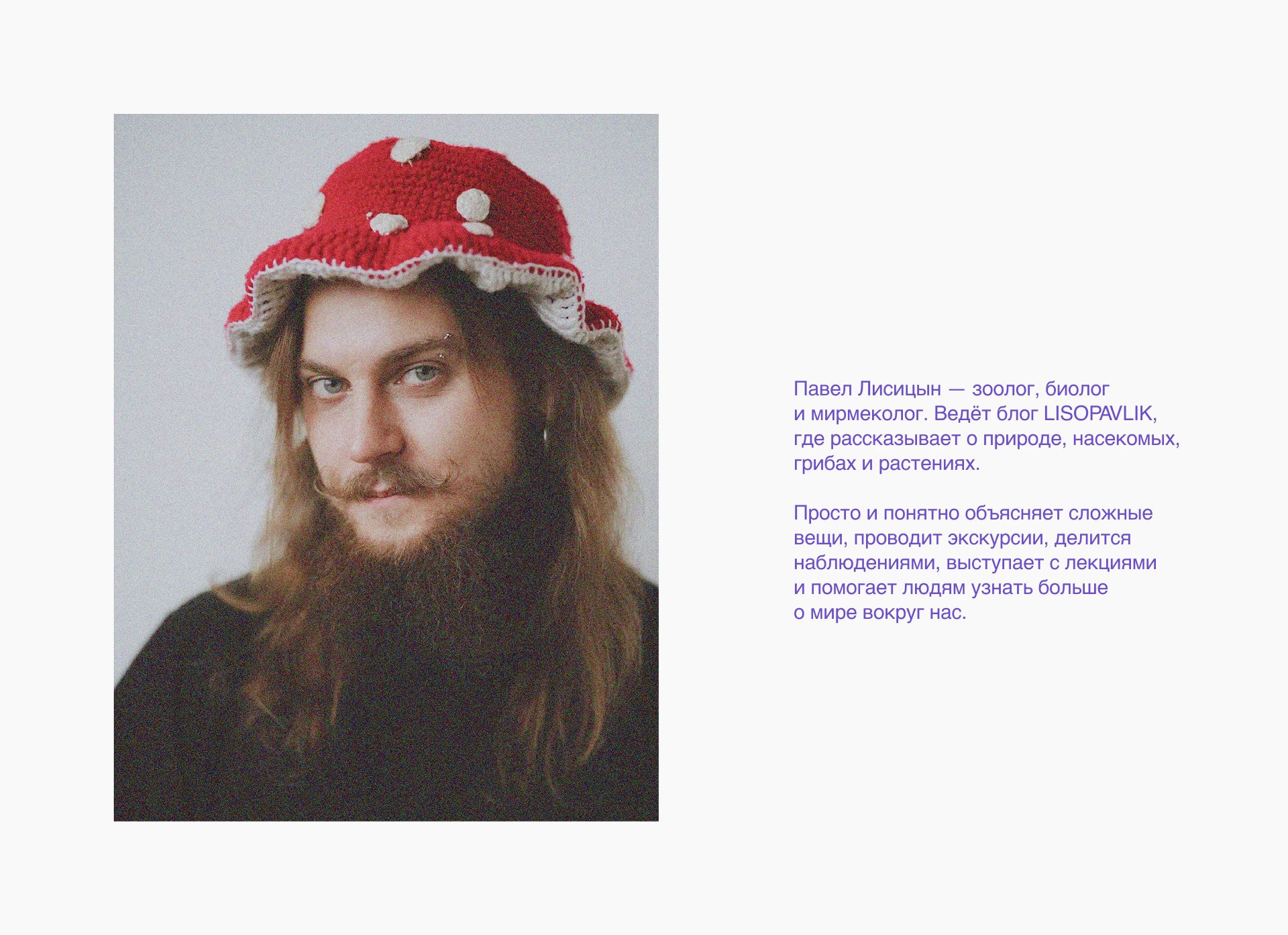 LISOPAVLIK — Изображение №1 — Брендинг на Dprofile