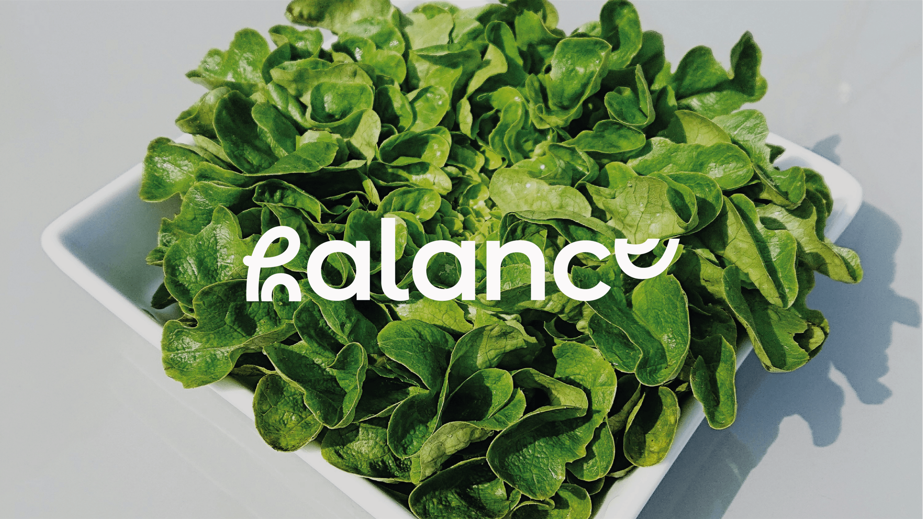 Логотип для бренда balance — Изображение №1 — Брендинг на Dprofile