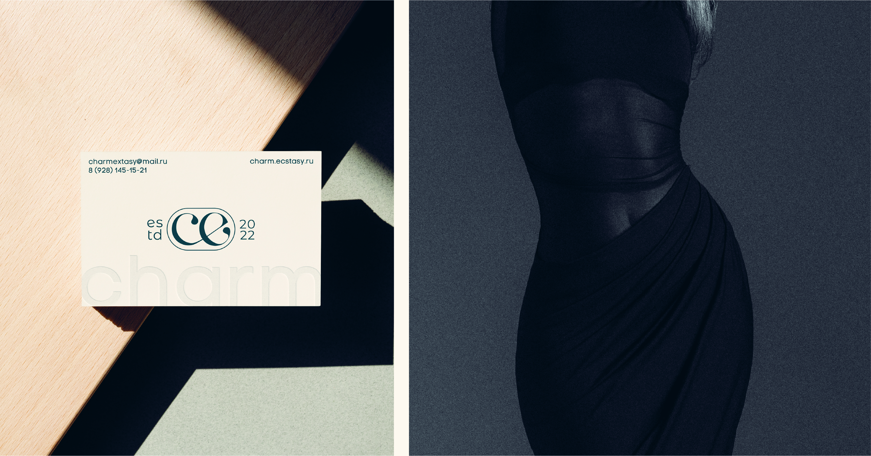 Логотип для бренда женской одежды Charm Ecstasy — Изображение №2 — Брендинг на Dprofile