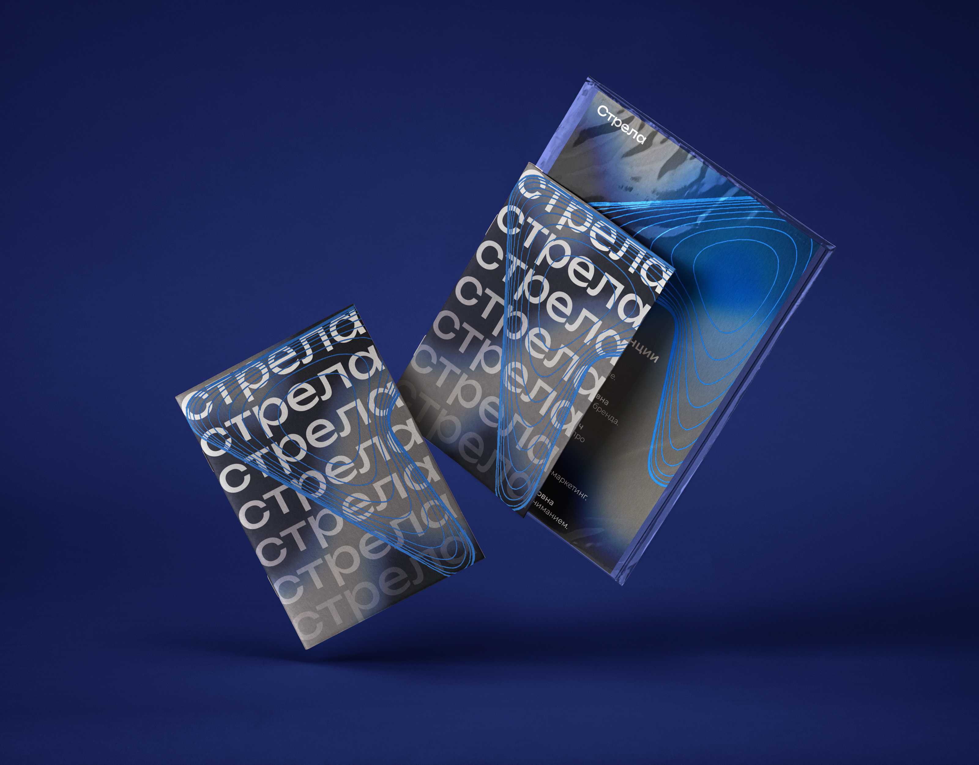 Фирменный стиль для конференции. — Изображение №14 — Брендинг на Dprofile
