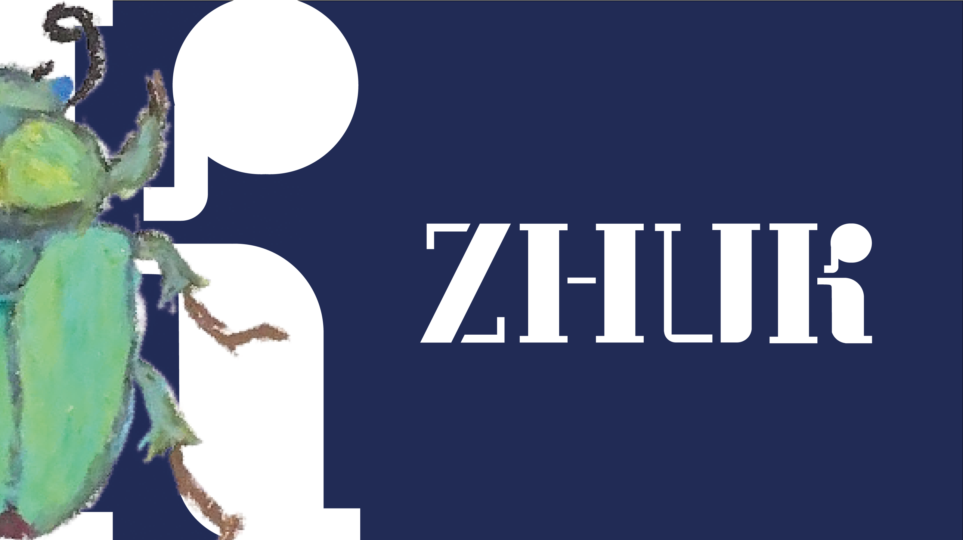 Шрифт «Zhuk» — Изображение №1 — Графика на Dprofile
