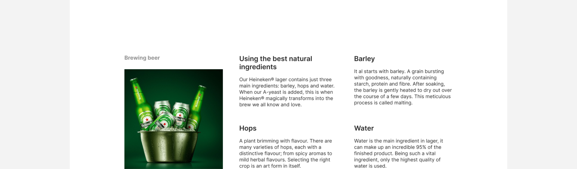 Heineken Landing page — Изображение №6 — Интерфейсы на Dprofile