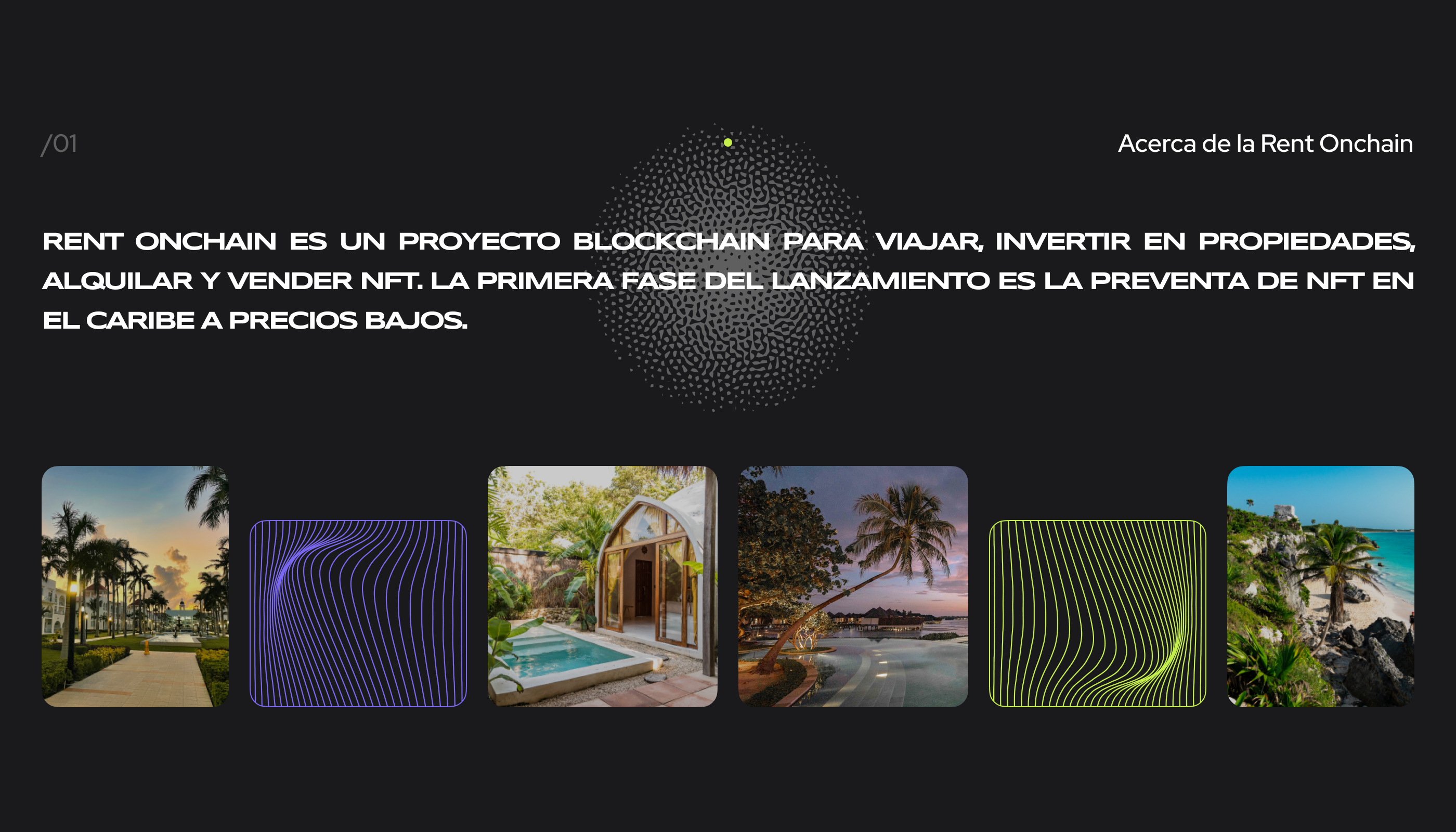 RO Landing Page - NFT Presale in the Caribbean — Изображение №2 — Интерфейсы на Dprofile