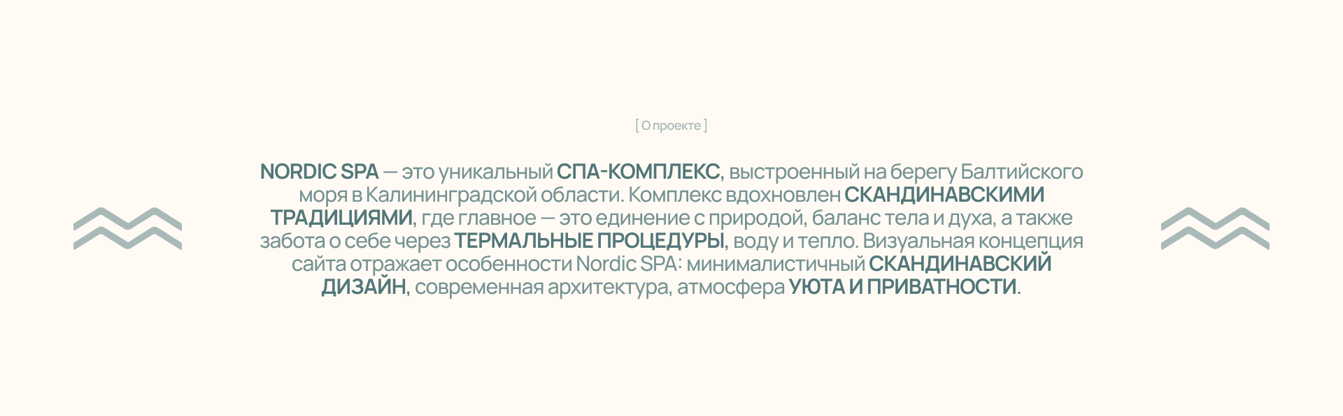 Nordic SPA | Corporate website — Изображение №2 — Интерфейсы, Брендинг на Dprofile