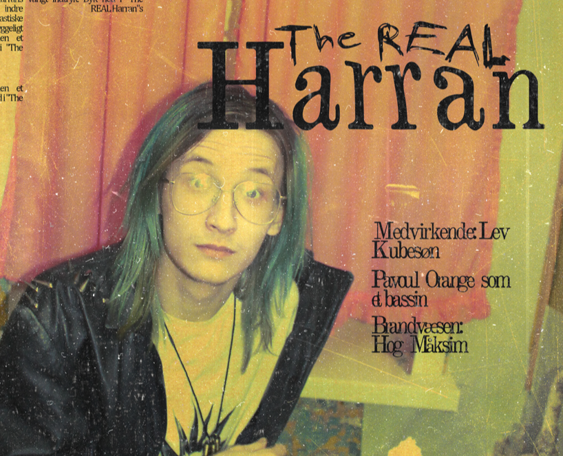 The REAL Harran - poster series на Dprofile