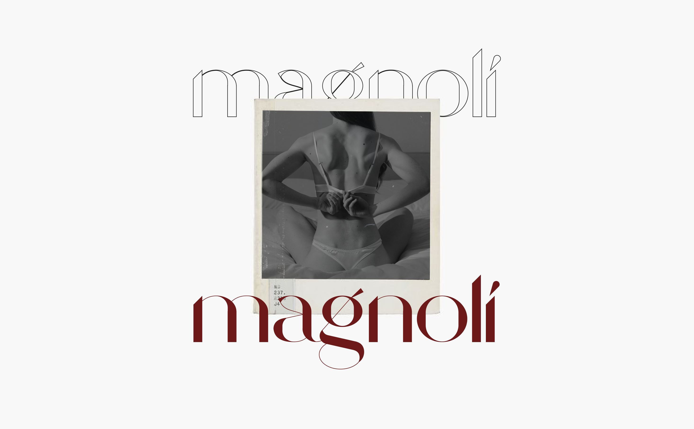 MAGNOLI | lingerie — Изображение №9 — Брендинг, Графика на Dprofile