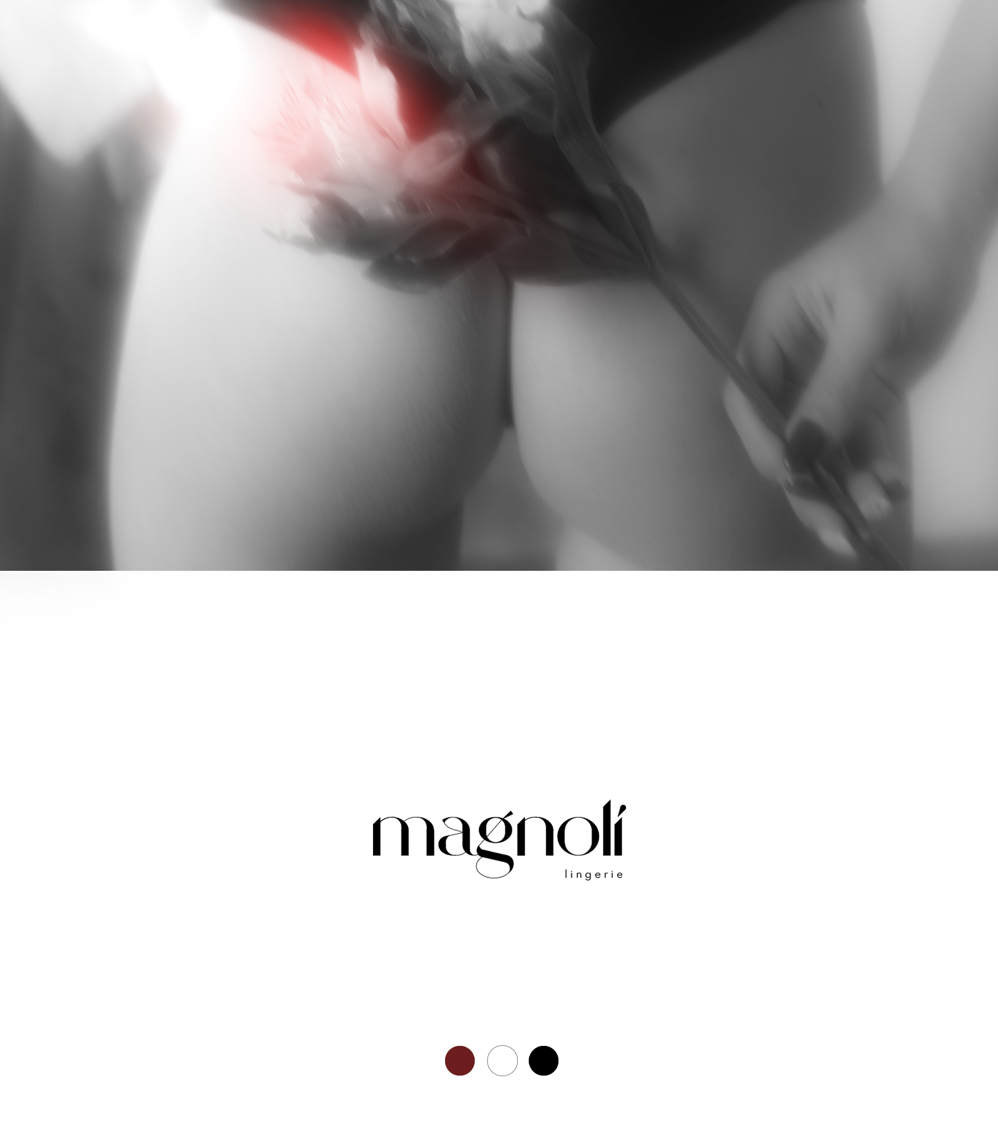 MAGNOLI | lingerie — Изображение №1 — Брендинг, Графика на Dprofile