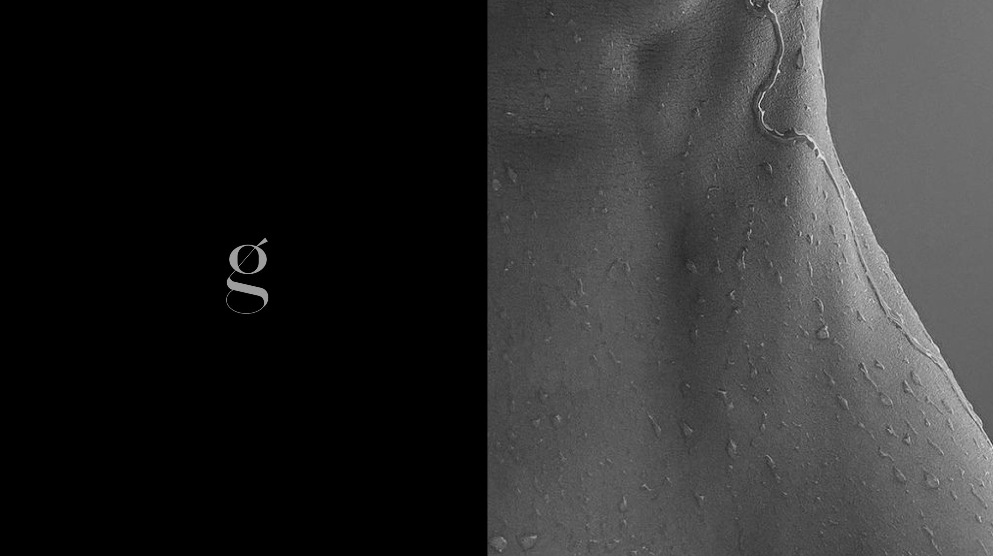 MAGNOLI | lingerie — Изображение №2 — Брендинг, Графика на Dprofile