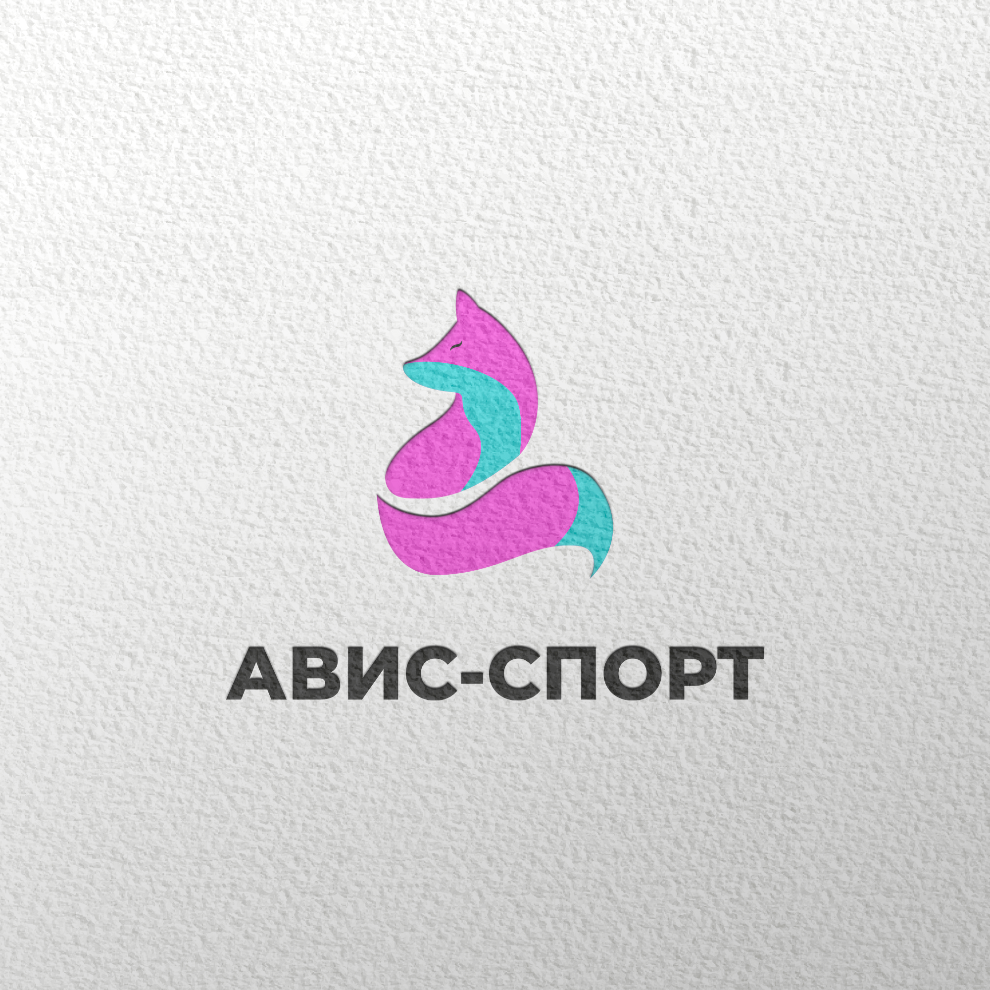 Логотип и оформление группы ВК для школы гимнастики — Изображение №2 — Брендинг, Графика на Dprofile