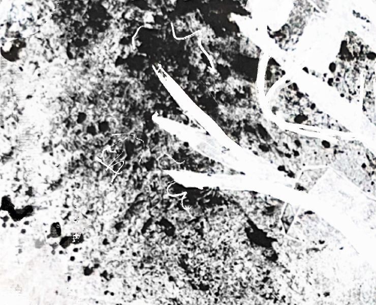 Плакаты на тему «Творческий путь» — Графика на Dprofile