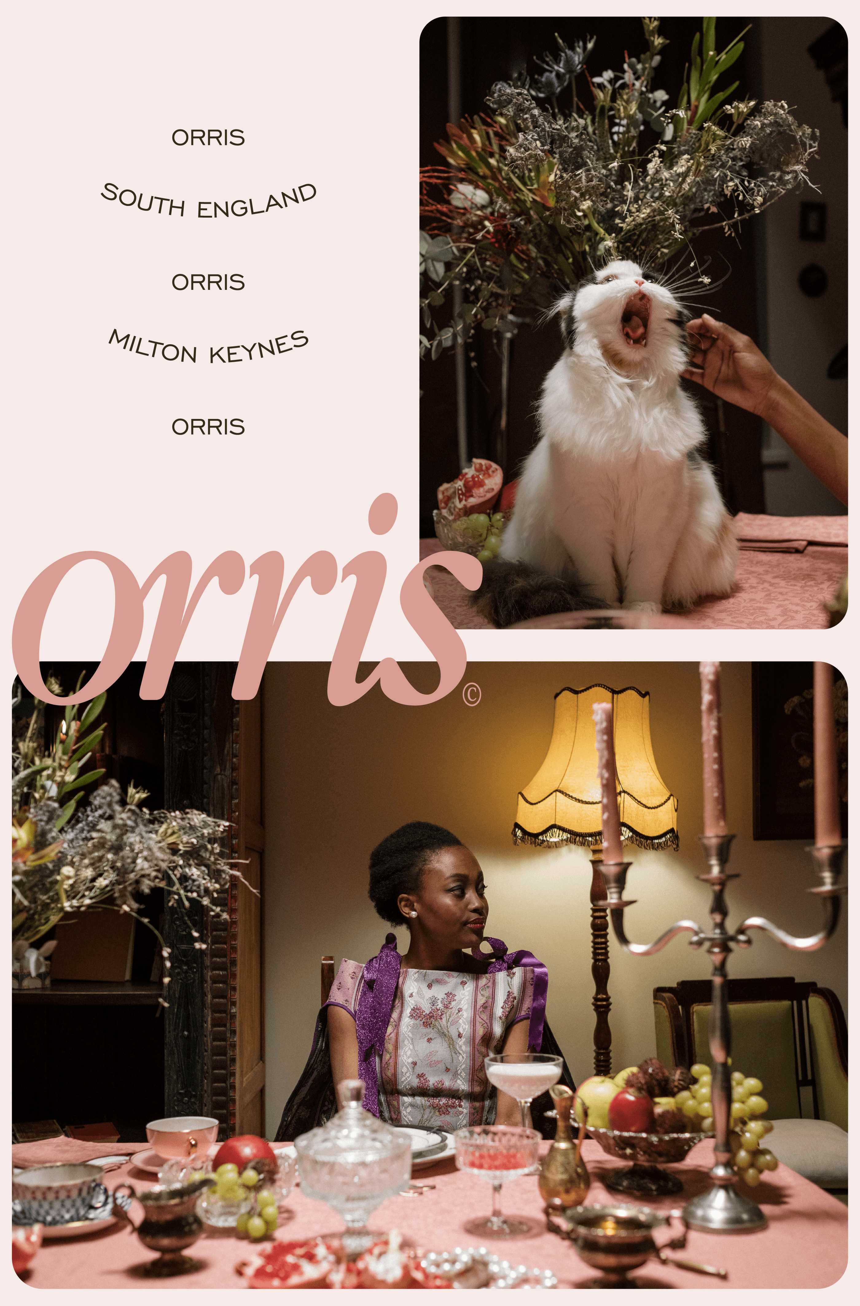 ORRIS Cocktail Bar — Изображение №6 — Брендинг, Графика на Dprofile