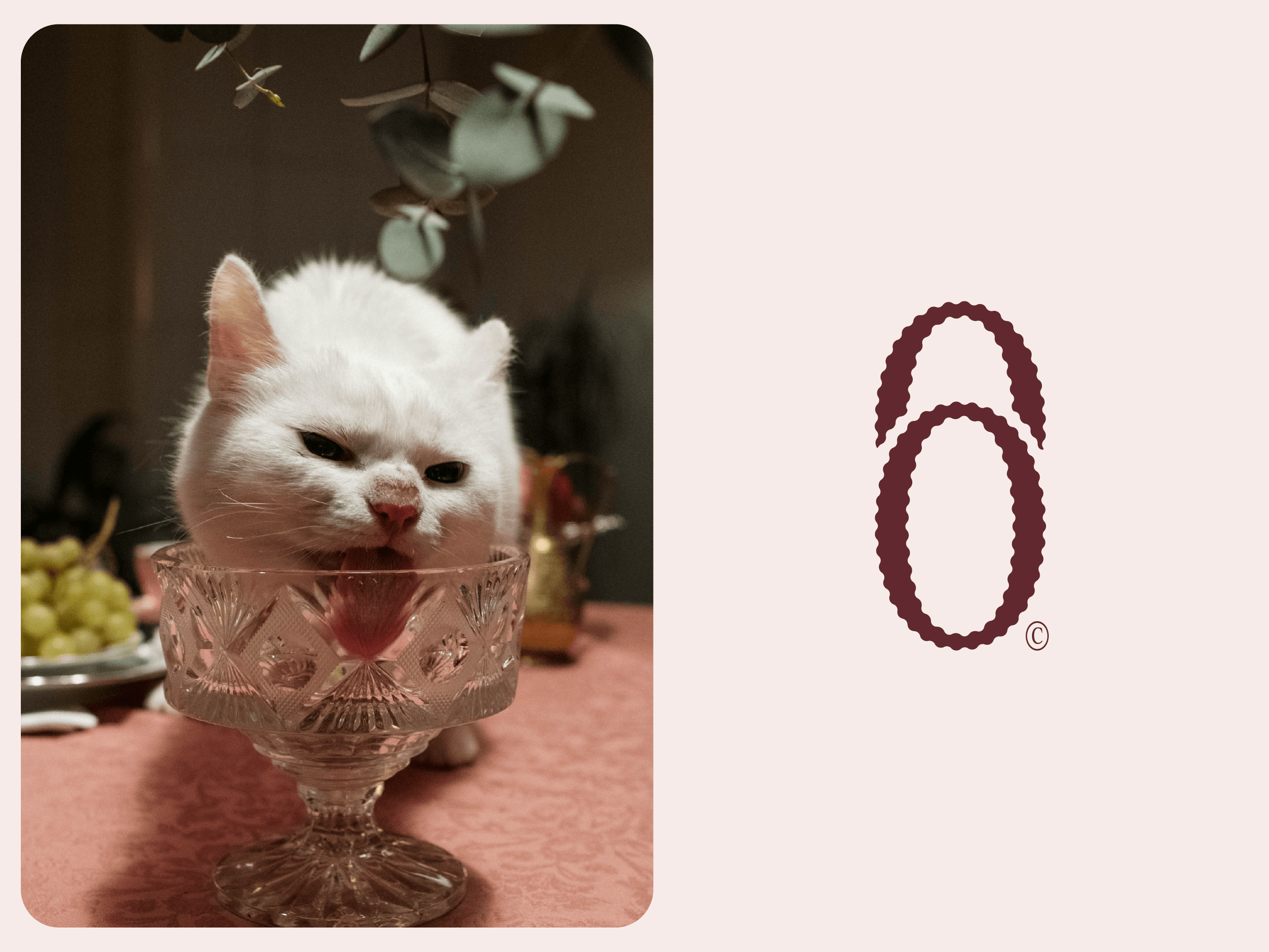 ORRIS Cocktail Bar — Изображение №3 — Брендинг, Графика на Dprofile