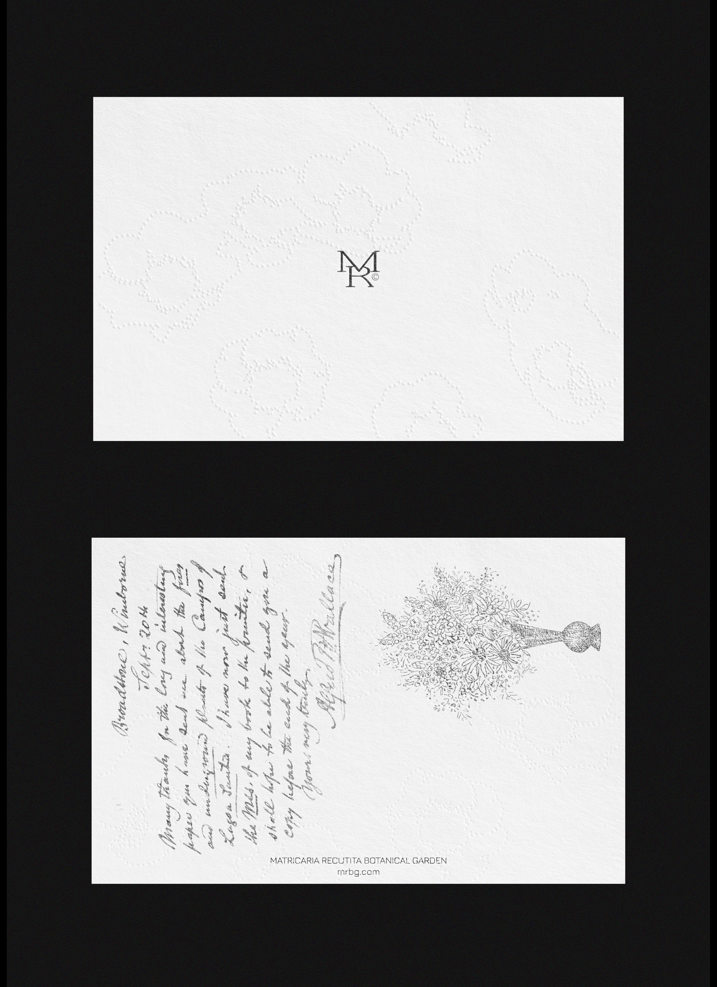 Matricaria Recutita — Изображение №5 — Брендинг, Графика на Dprofile