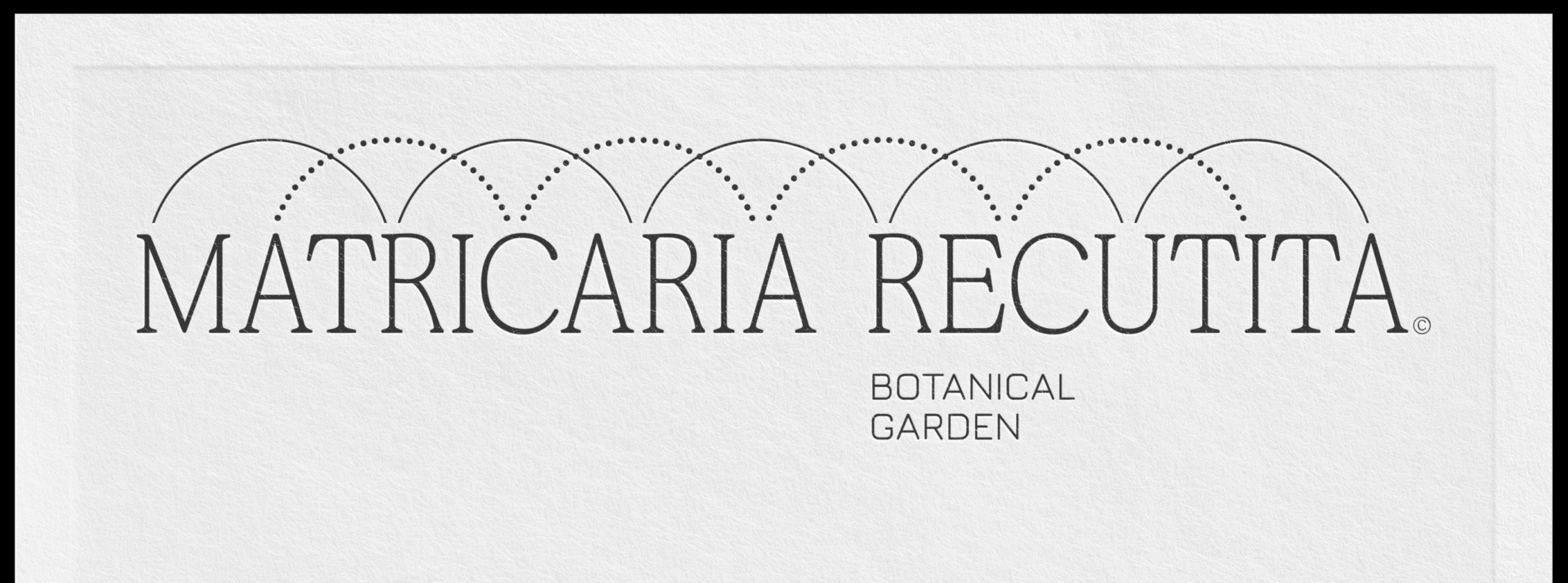 Matricaria Recutita — Изображение №1 — Брендинг, Графика на Dprofile