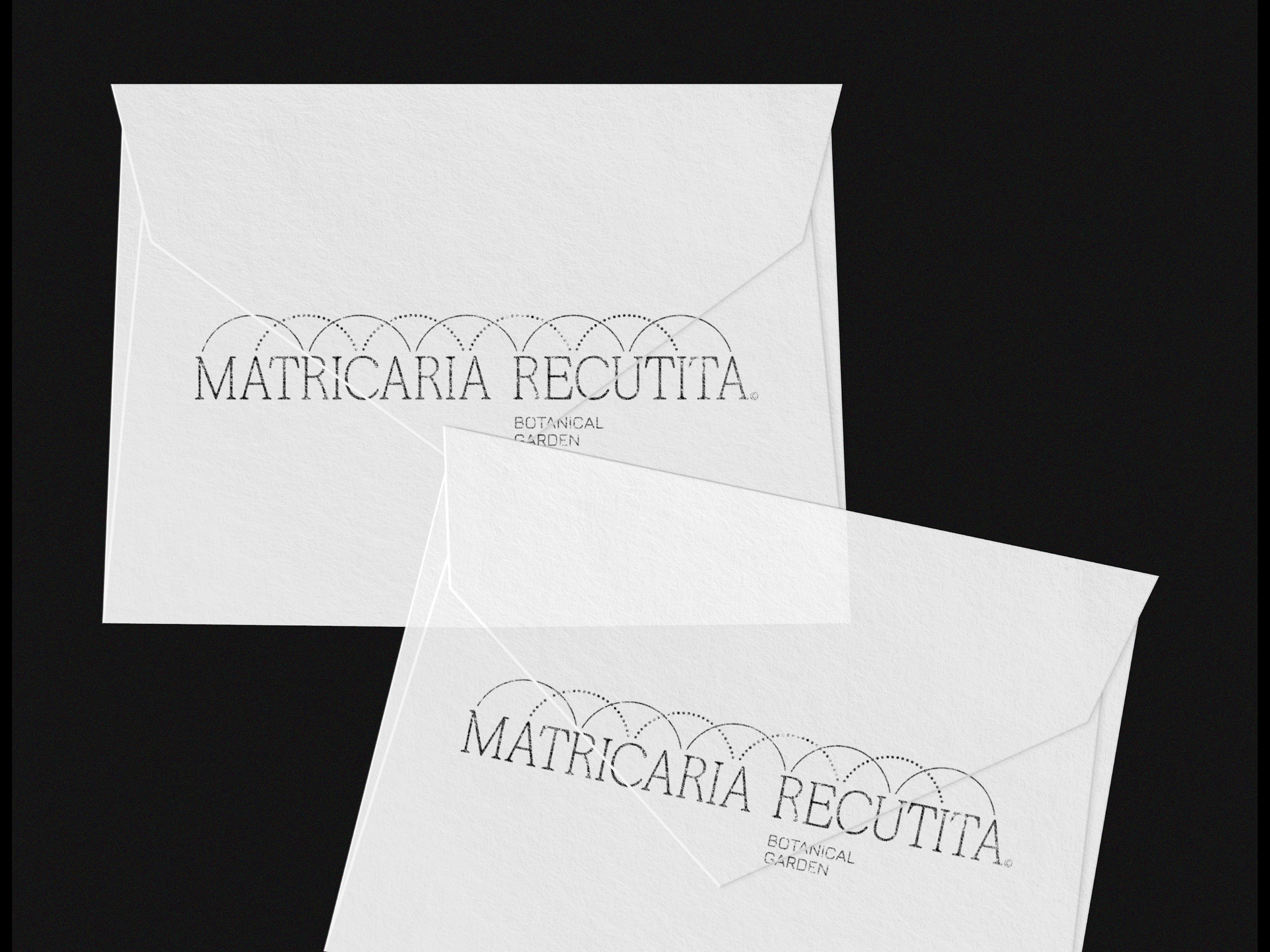 Matricaria Recutita — Изображение №7 — Брендинг, Графика на Dprofile