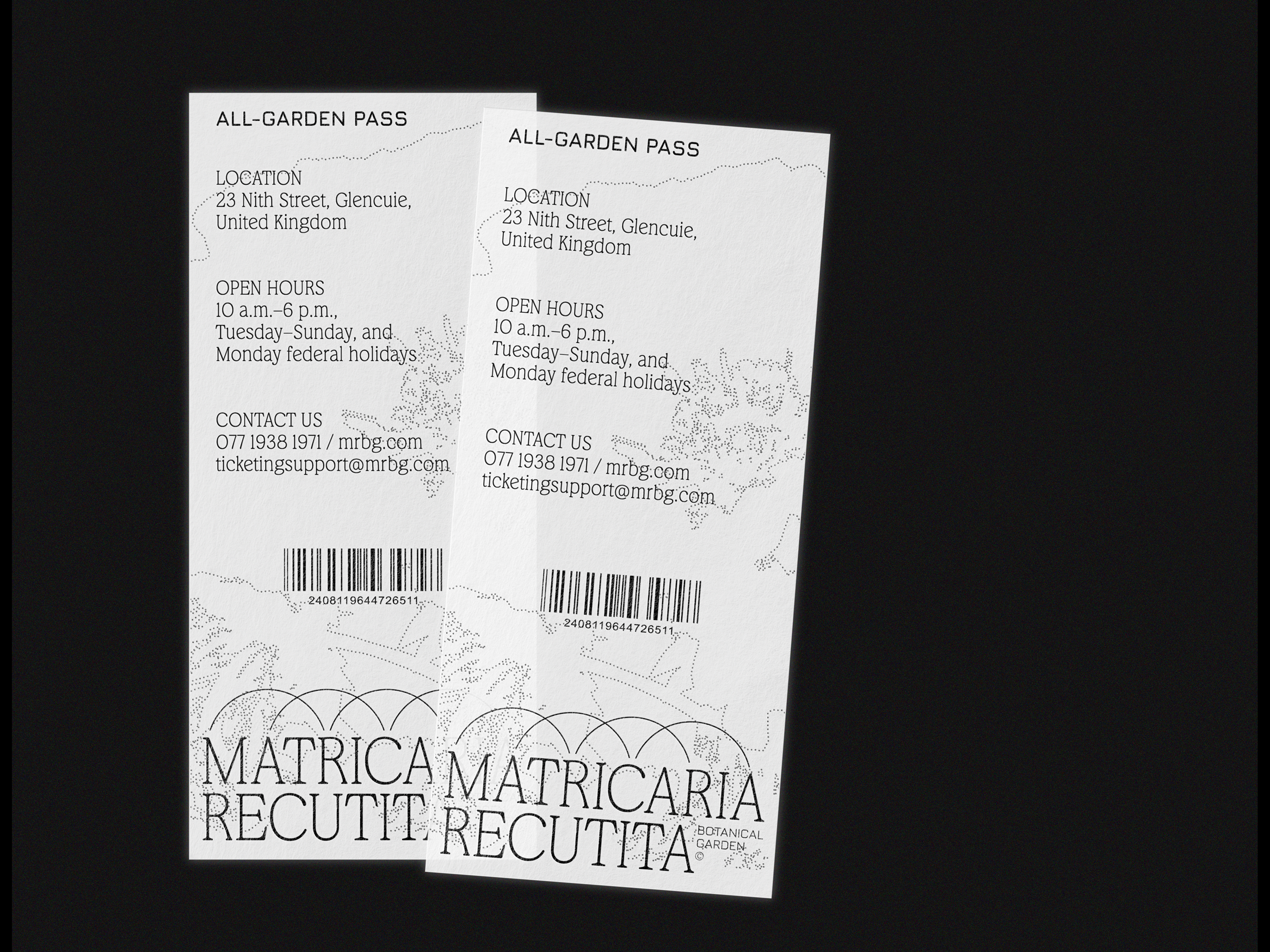 Matricaria Recutita — Изображение №3 — Брендинг, Графика на Dprofile