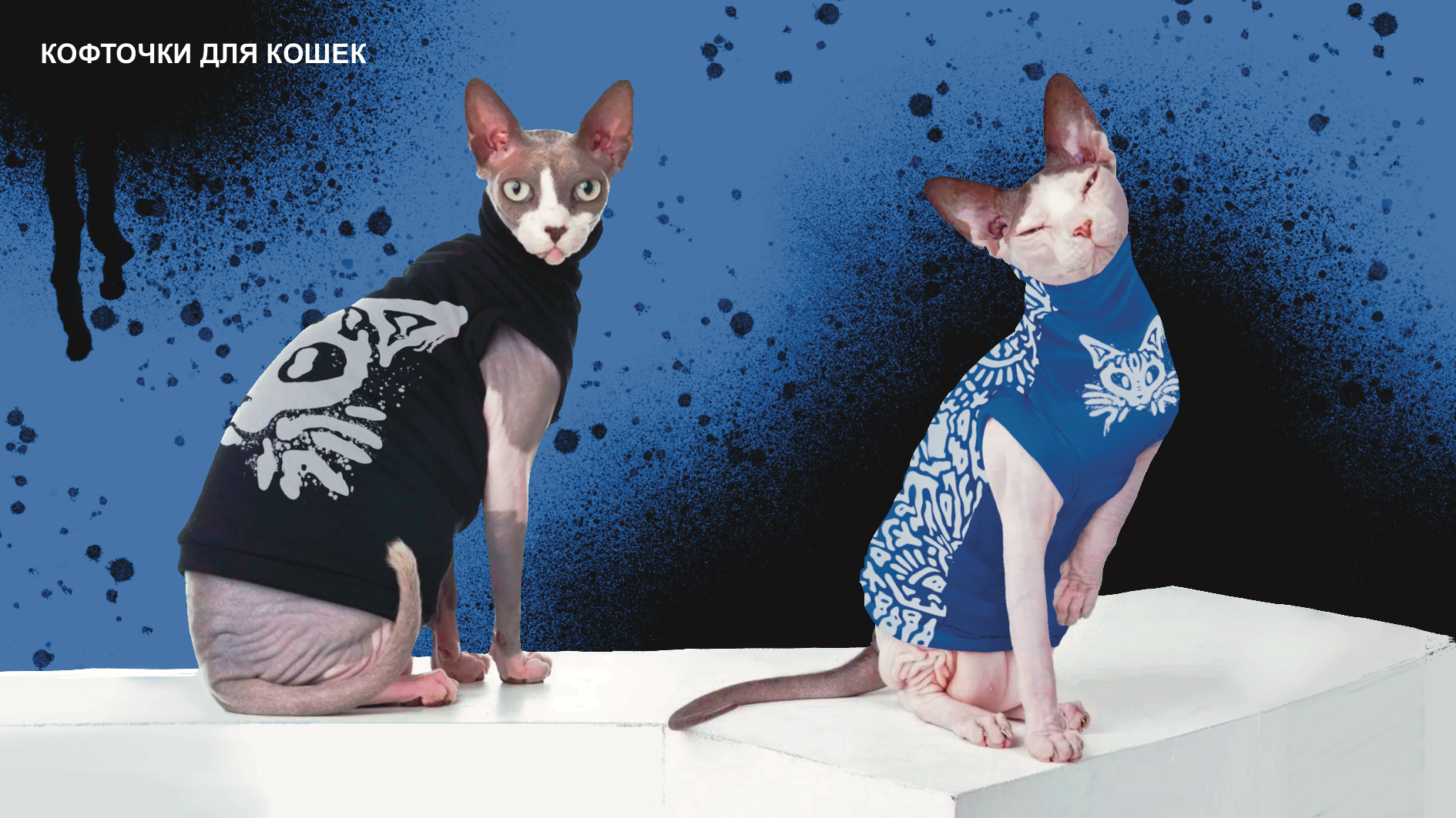 Дизайн мерча для "SEVER 505" — Изображение №11 — Брендинг на Dprofile