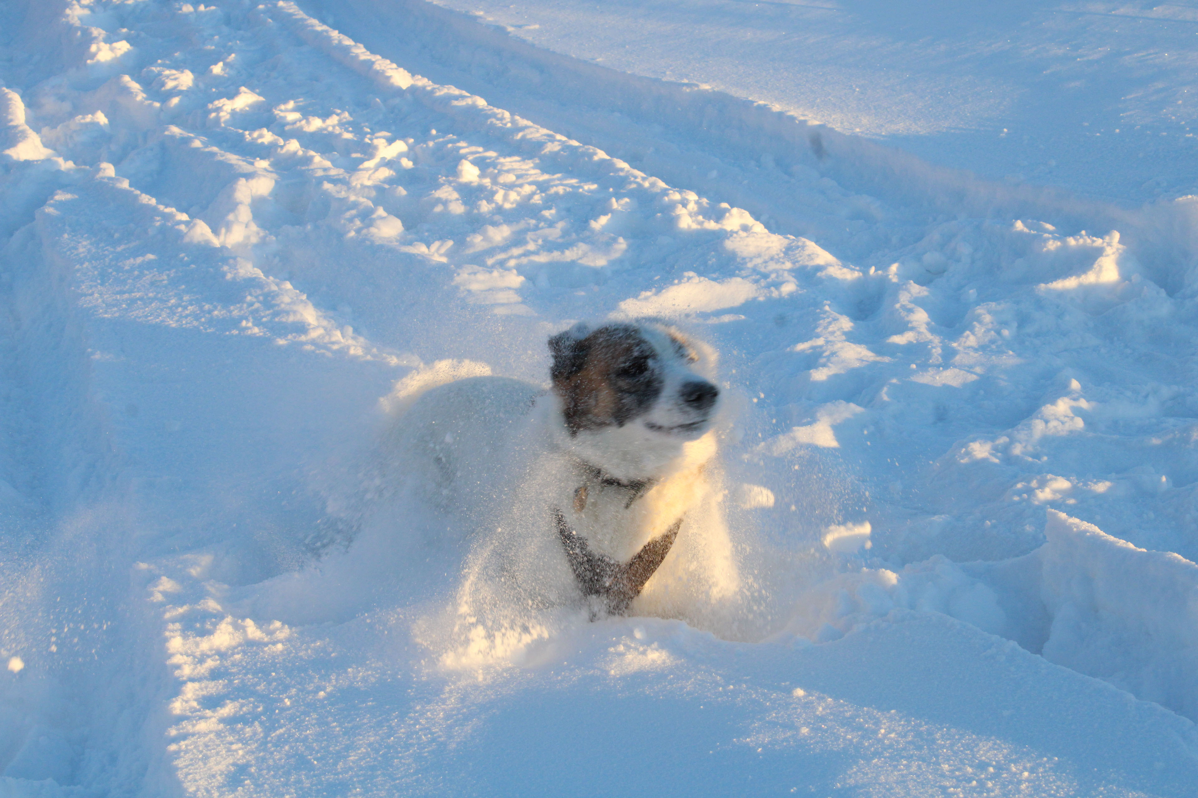 Winter Photoshoot, 17th_kadr — Изображение №14 — Иллюстрация, Графика на Dprofile