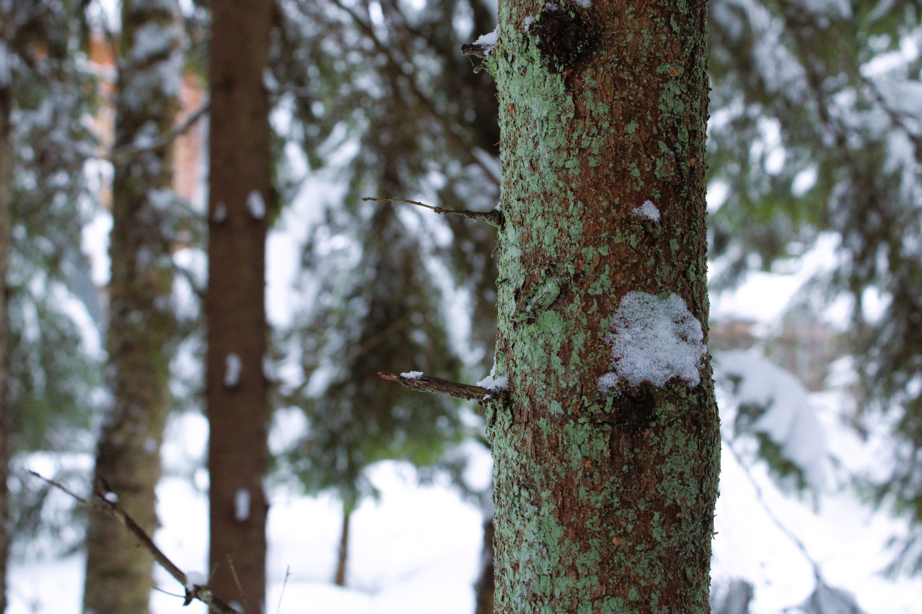 Winter Photoshoot, 17th_kadr — Изображение №28 — Иллюстрация, Графика на Dprofile