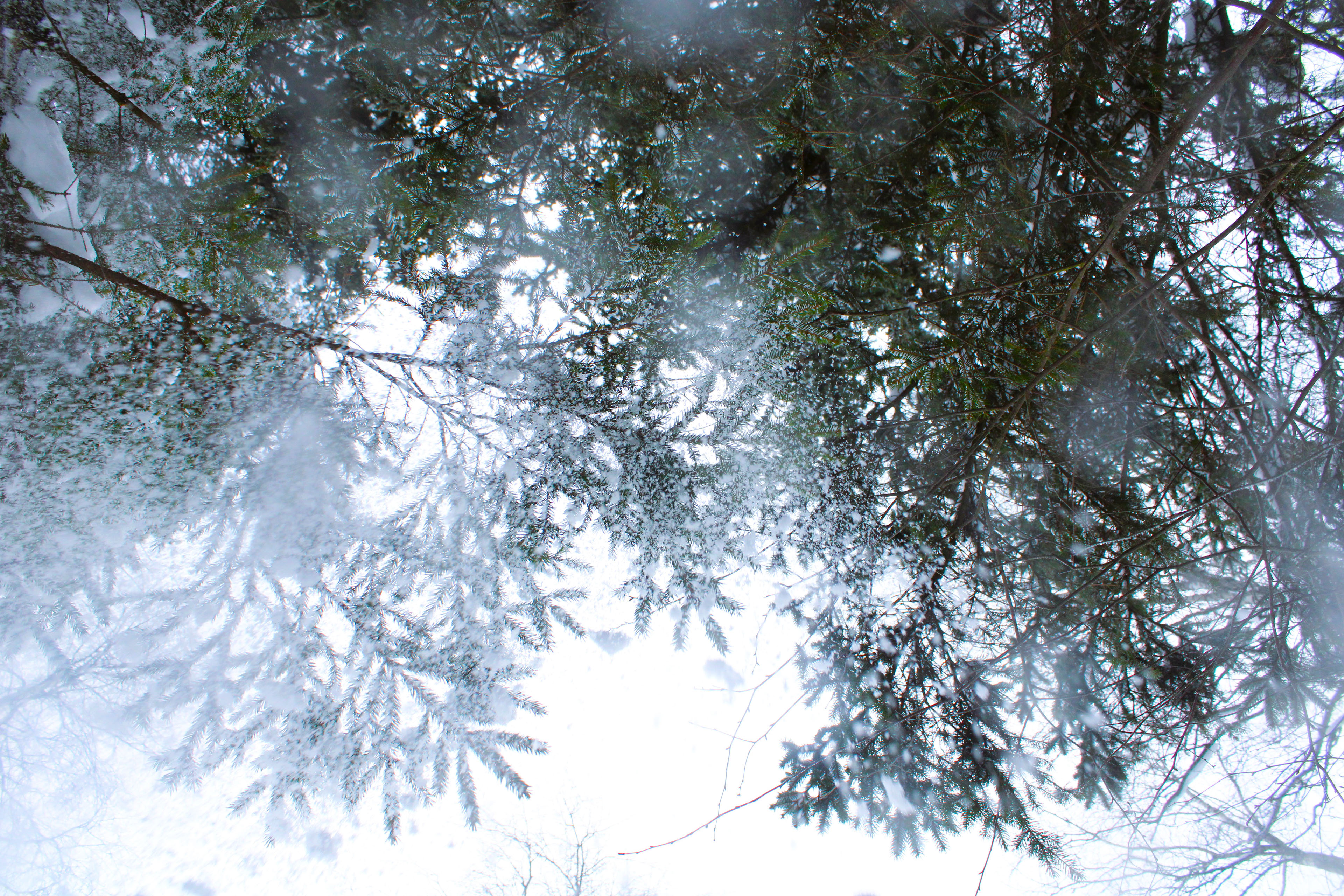 Winter Photoshoot, 17th_kadr — Изображение №57 — Иллюстрация, Графика на Dprofile