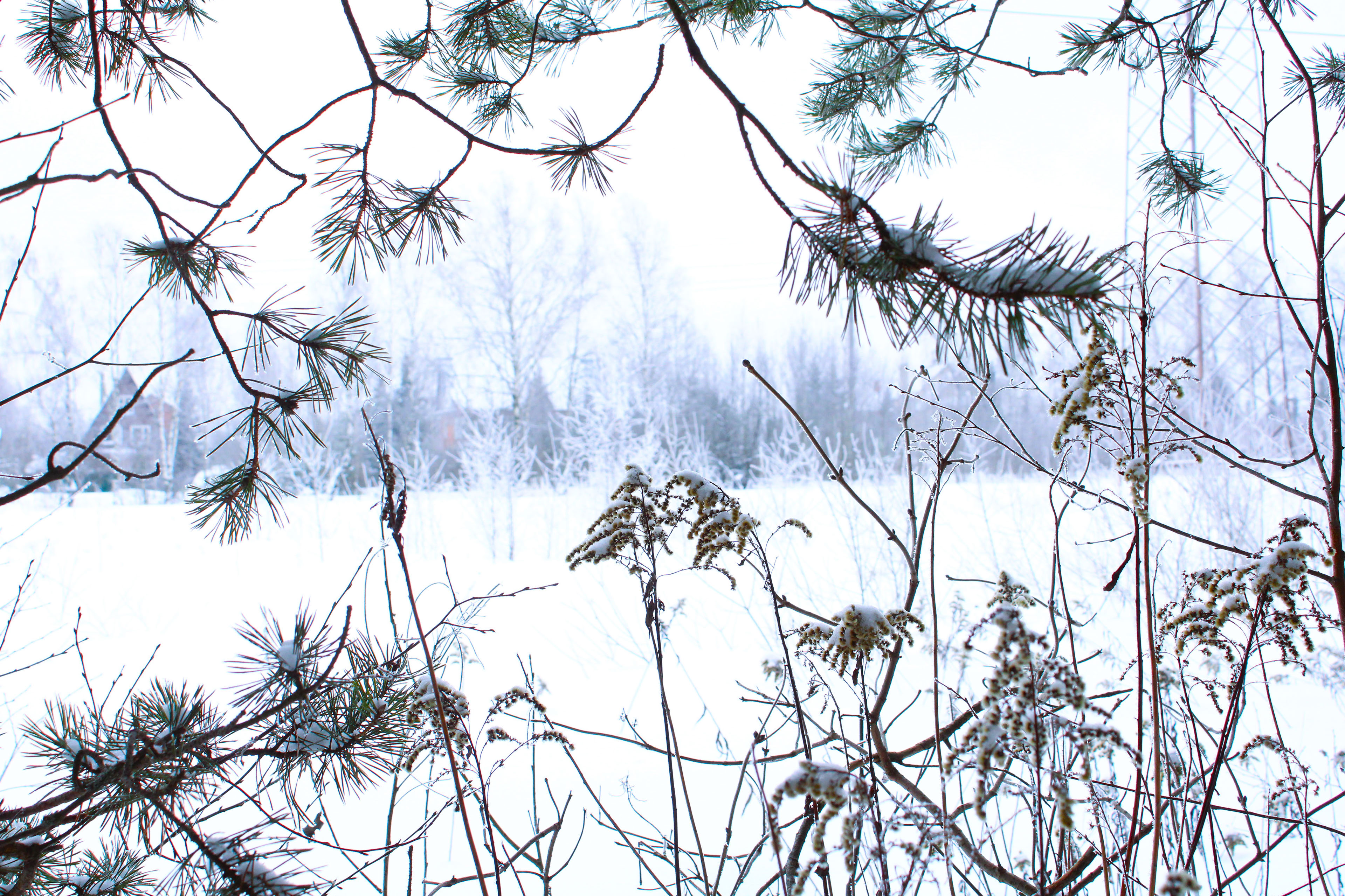 Winter Photoshoot, 17th_kadr — Изображение №38 — Иллюстрация, Графика на Dprofile