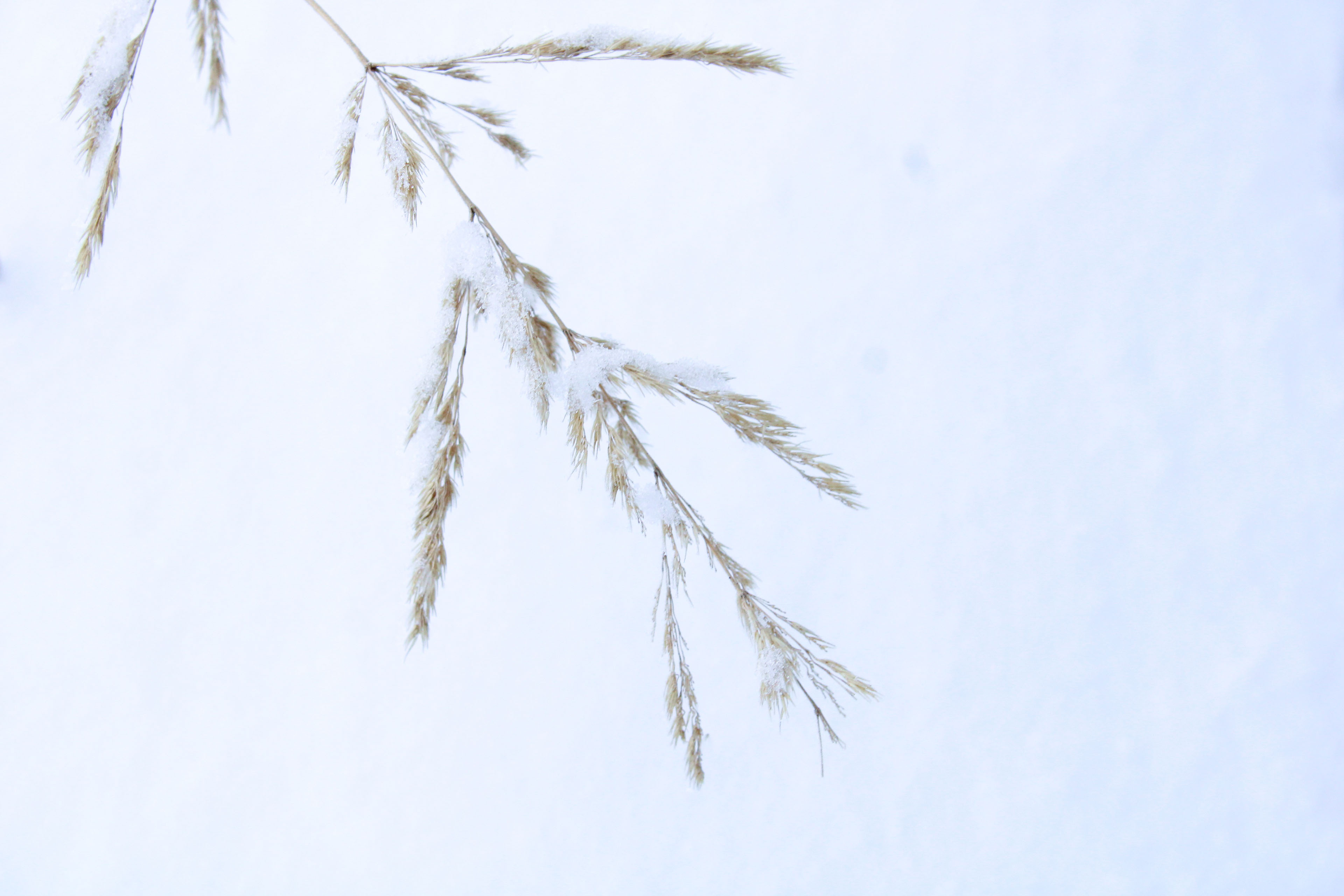 Winter Photoshoot, 17th_kadr — Изображение №34 — Иллюстрация, Графика на Dprofile