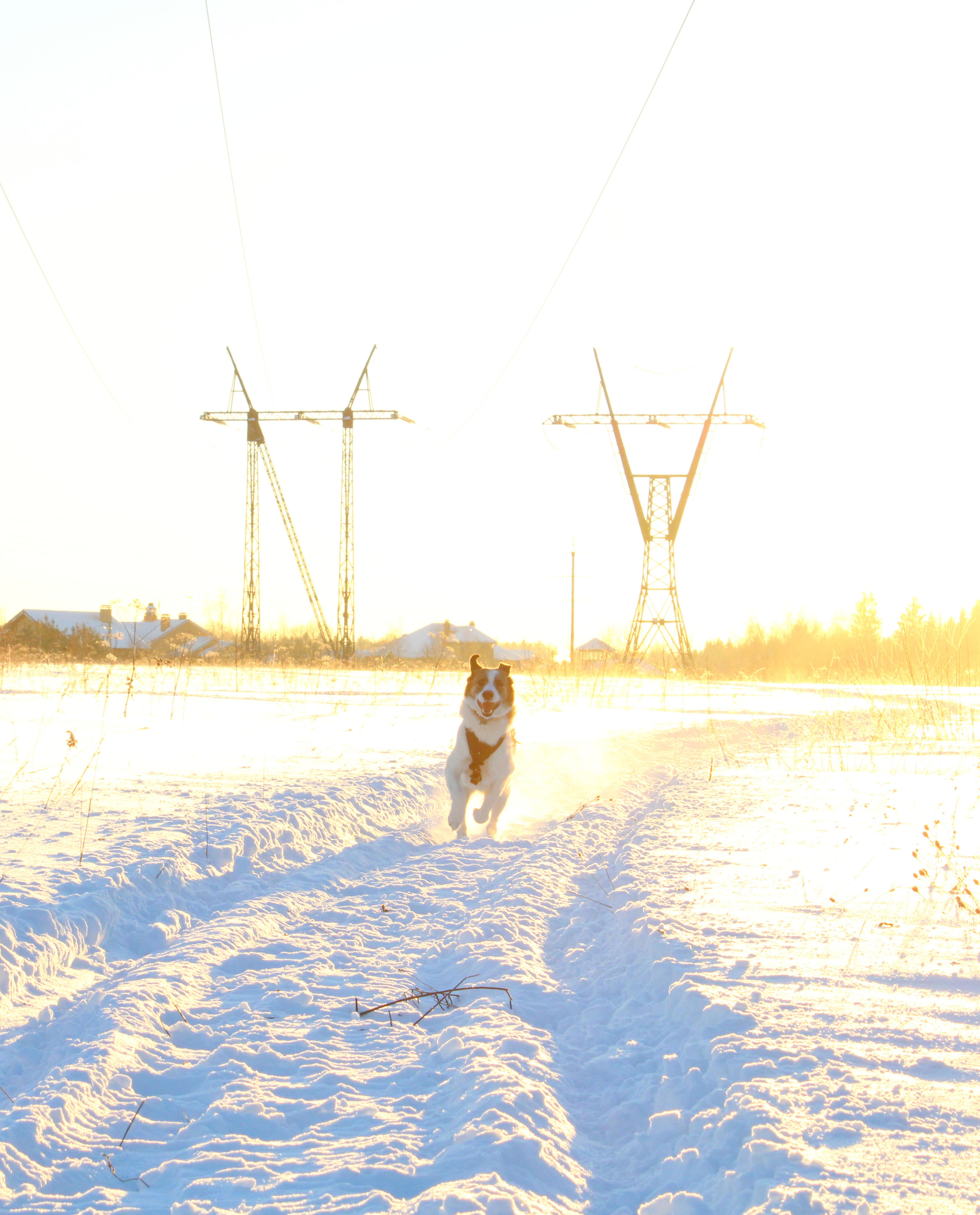 Winter Photoshoot, 17th_kadr — Изображение №10 — Иллюстрация, Графика на Dprofile