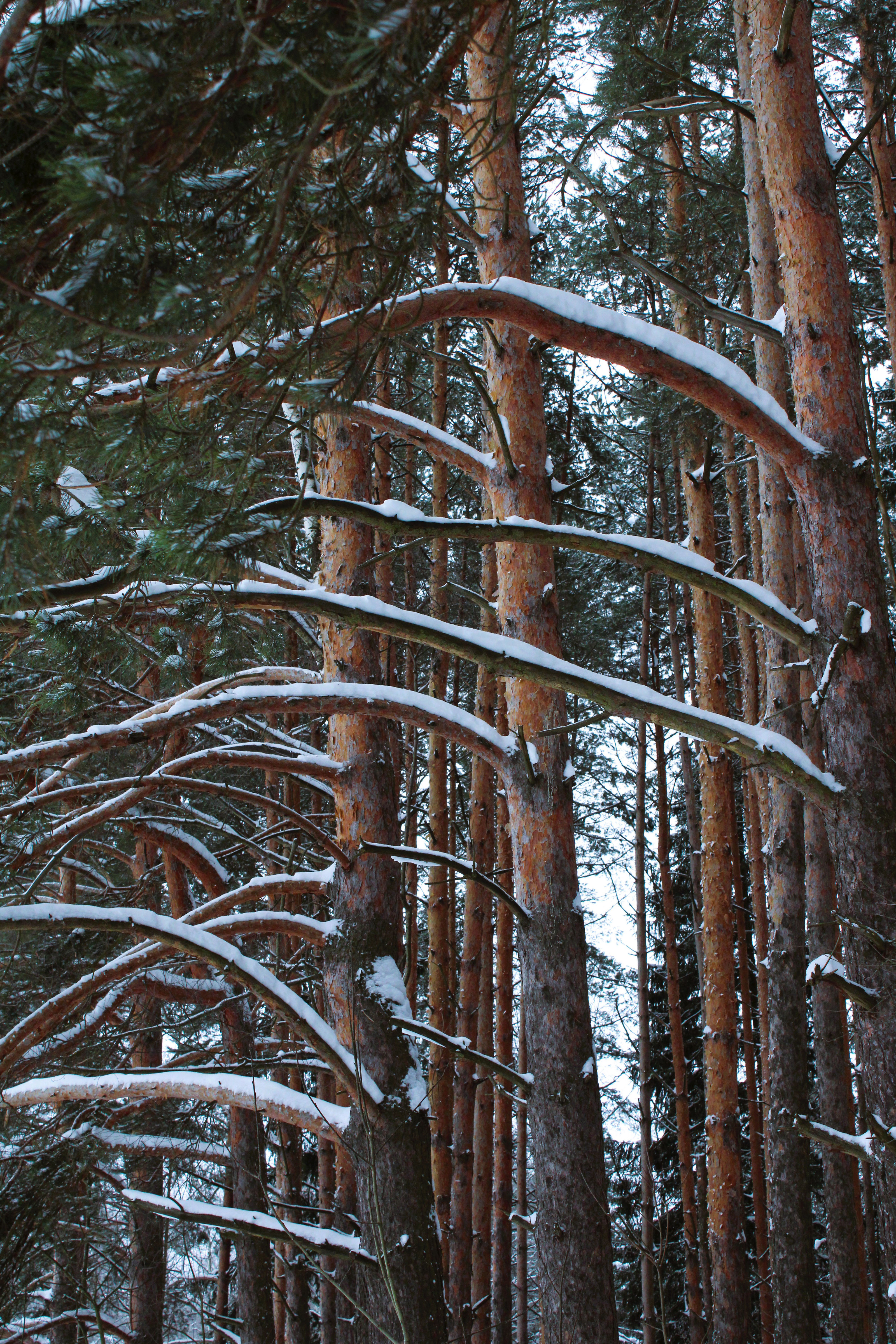 Winter Photoshoot, 17th_kadr — Изображение №42 — Иллюстрация, Графика на Dprofile