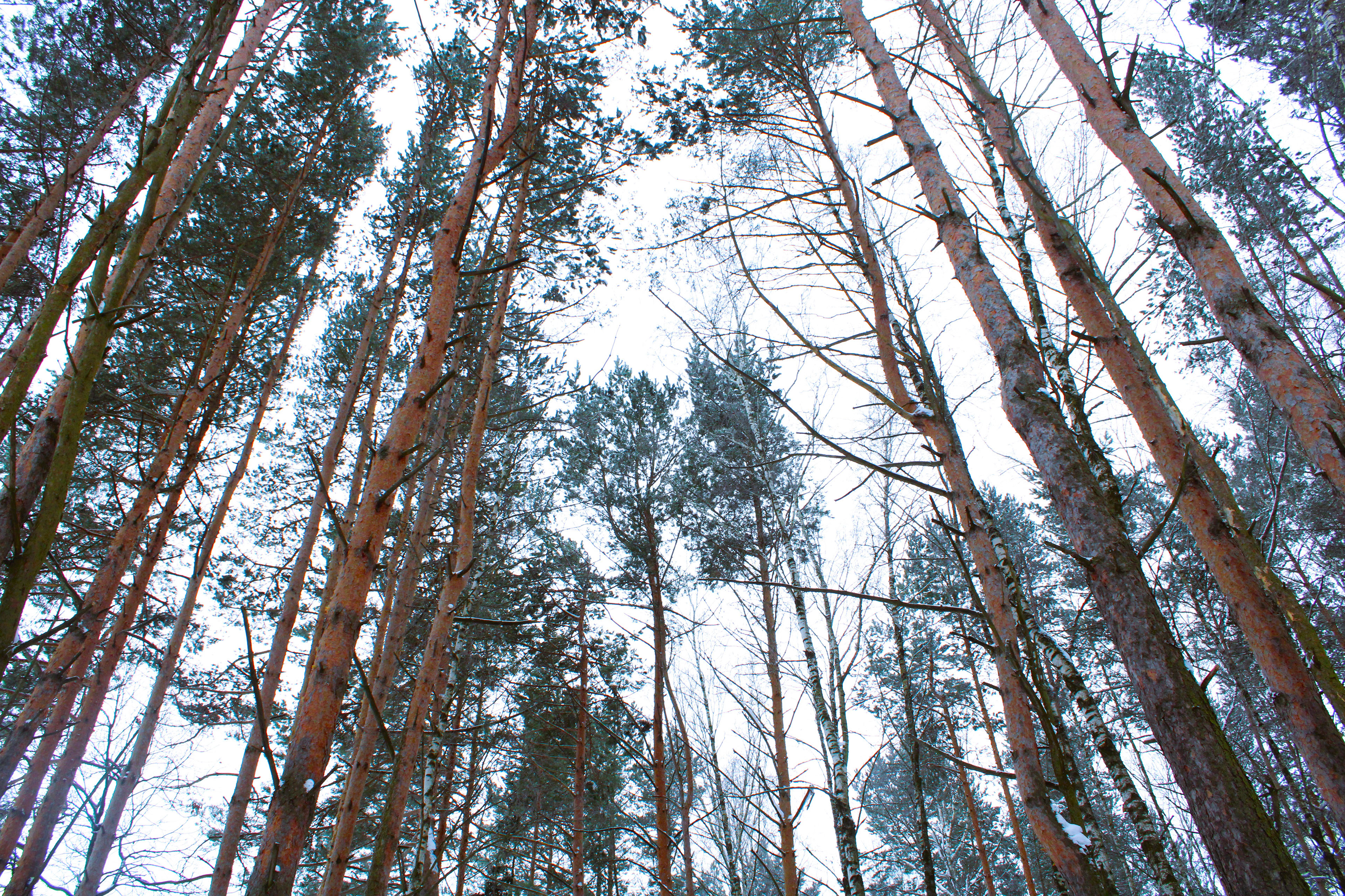 Winter Photoshoot, 17th_kadr — Изображение №23 — Иллюстрация, Графика на Dprofile