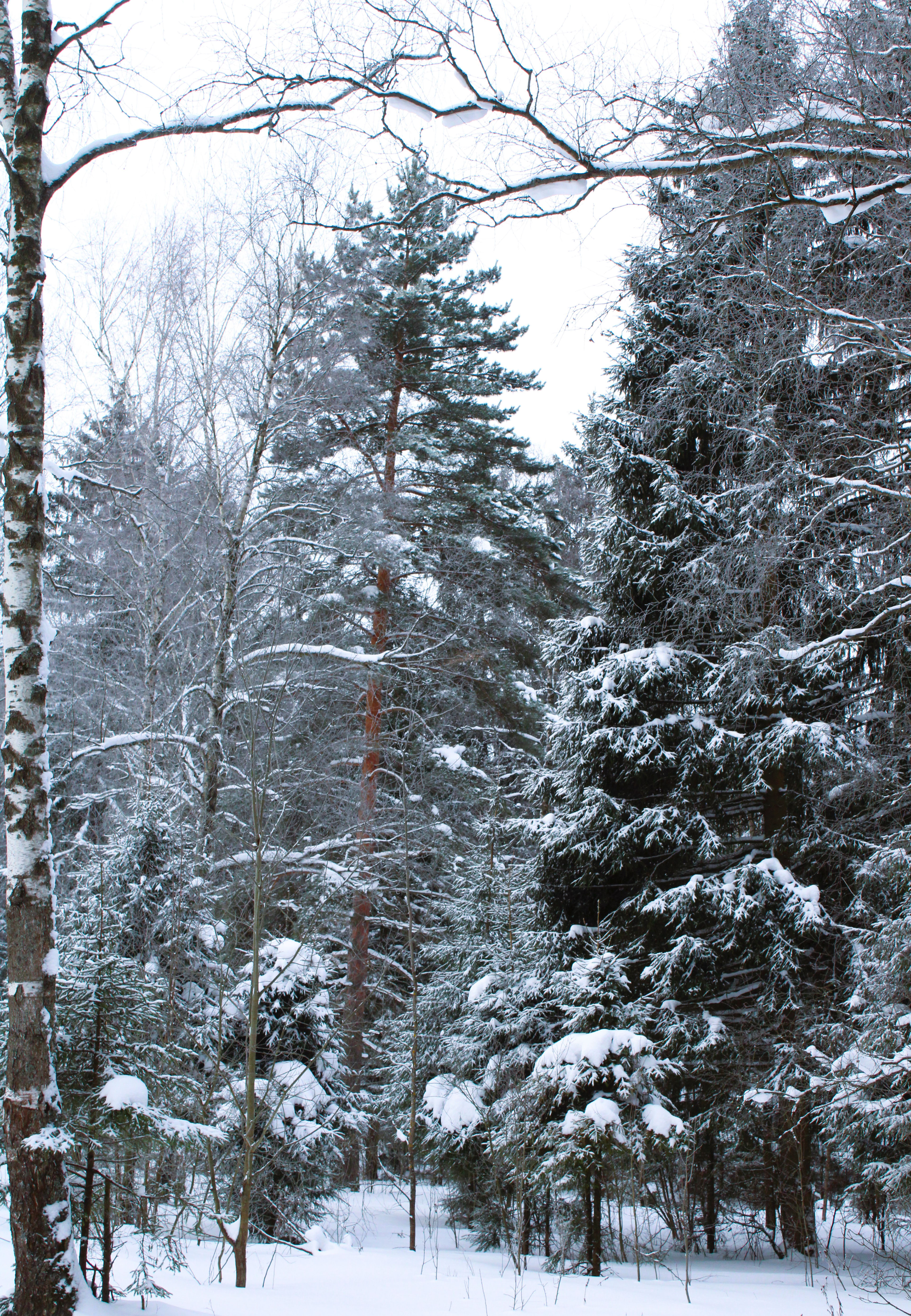 Winter Photoshoot, 17th_kadr — Изображение №51 — Иллюстрация, Графика на Dprofile