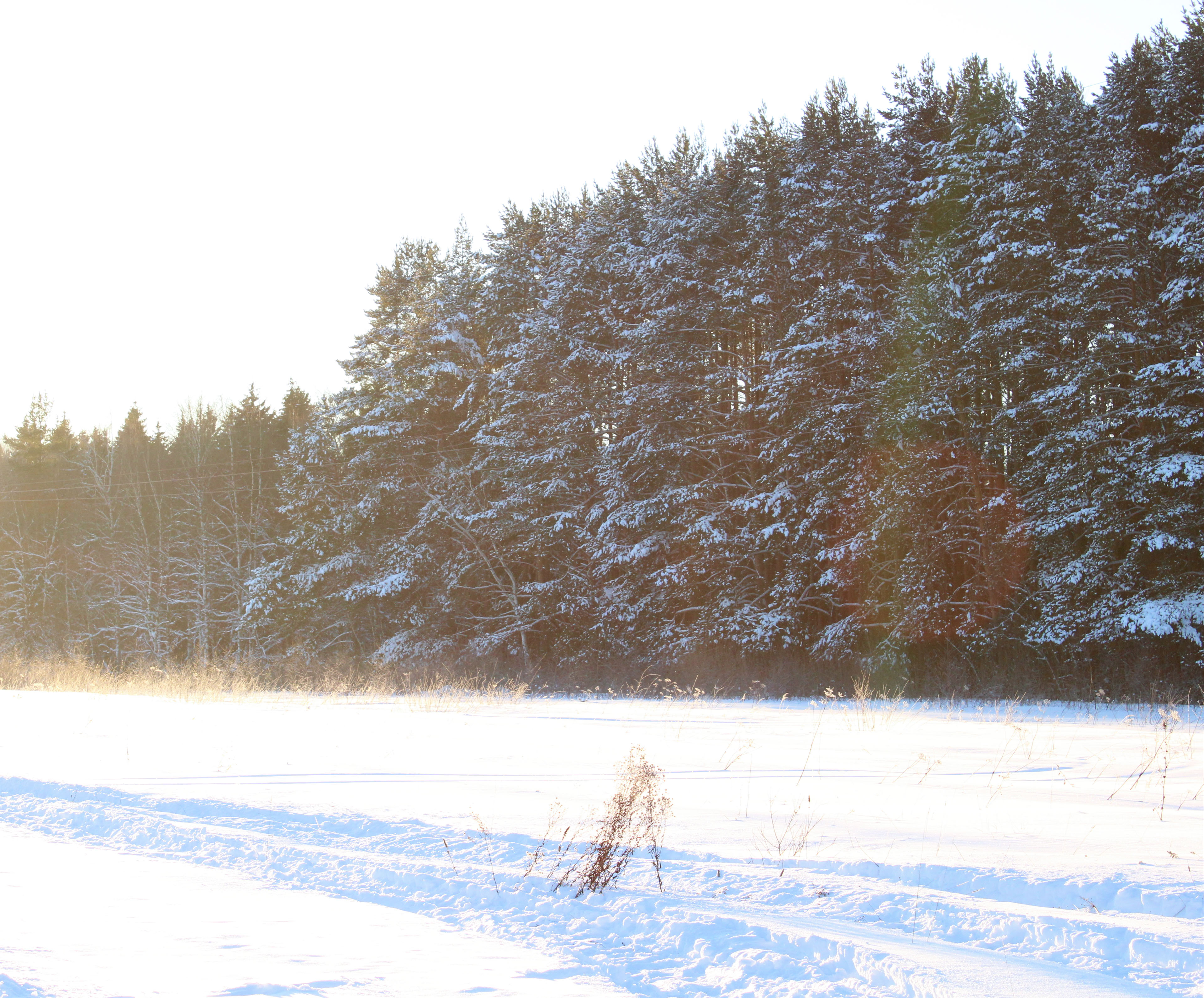 Winter Photoshoot, 17th_kadr — Изображение №12 — Иллюстрация, Графика на Dprofile