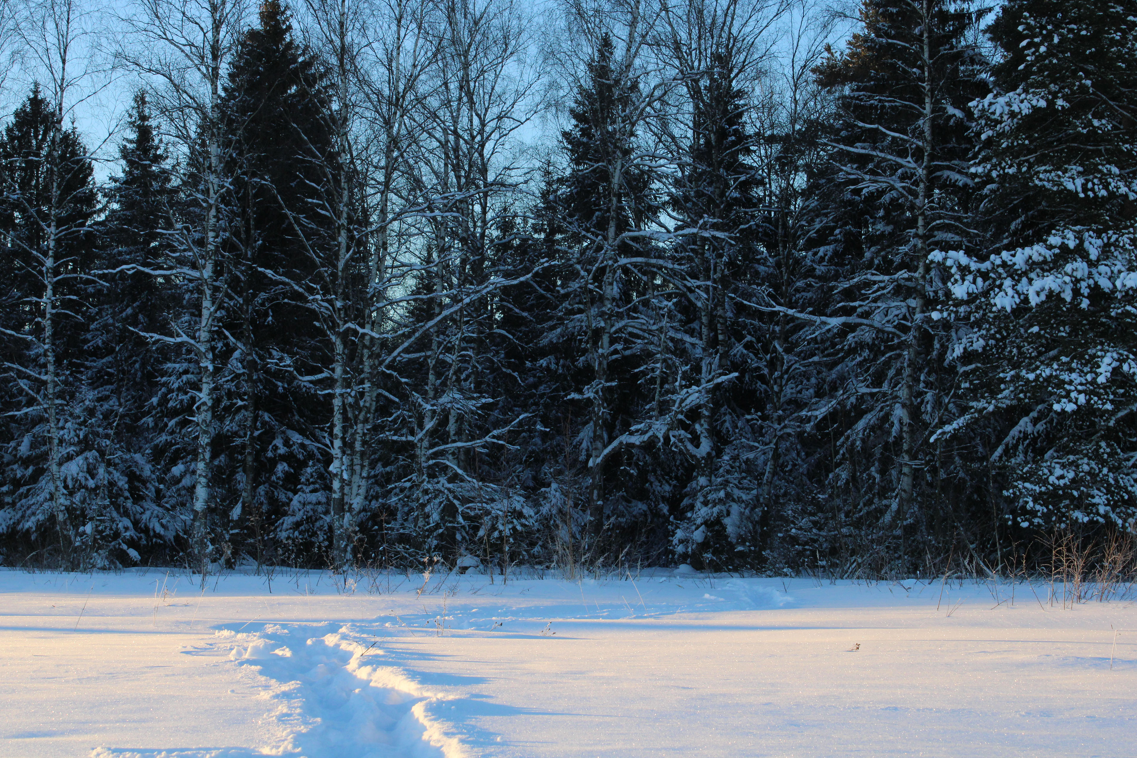 Winter Photoshoot, 17th_kadr — Изображение №4 — Иллюстрация, Графика на Dprofile