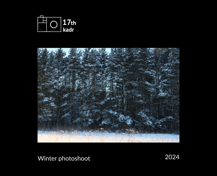 Winter Photoshoot, 17th_kadr — Иллюстрация, Графика на Dprofile