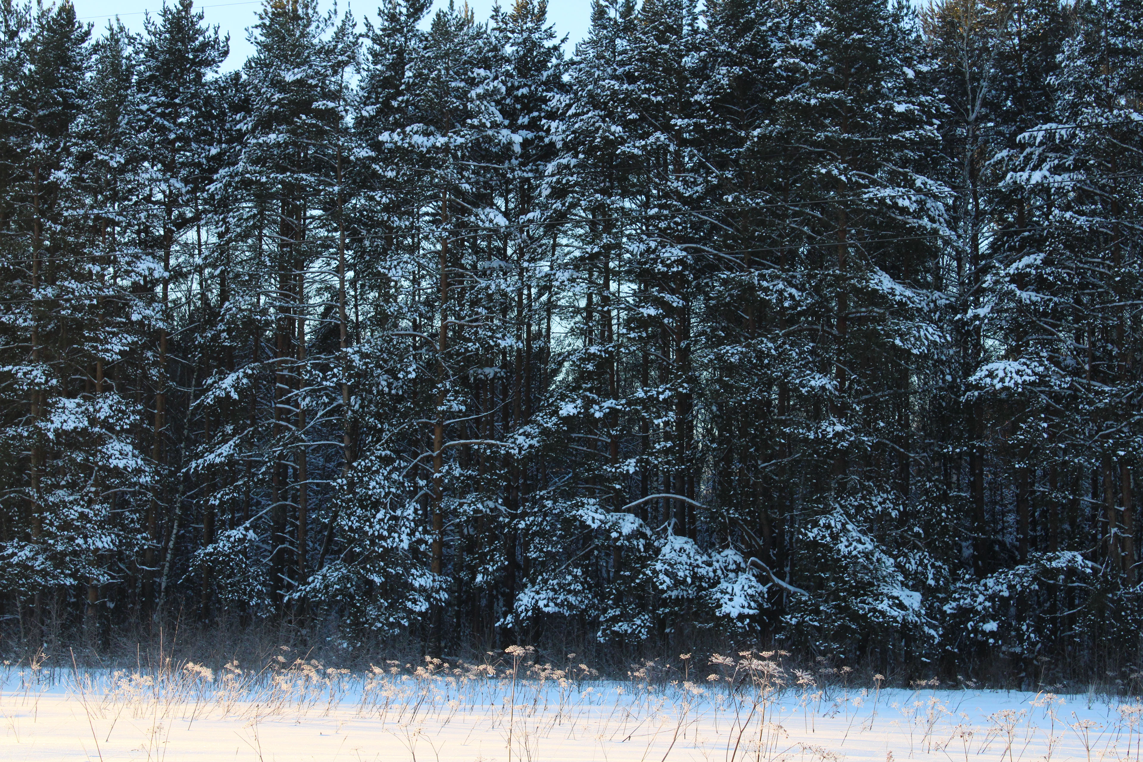 Winter Photoshoot, 17th_kadr — Изображение №5 — Иллюстрация, Графика на Dprofile