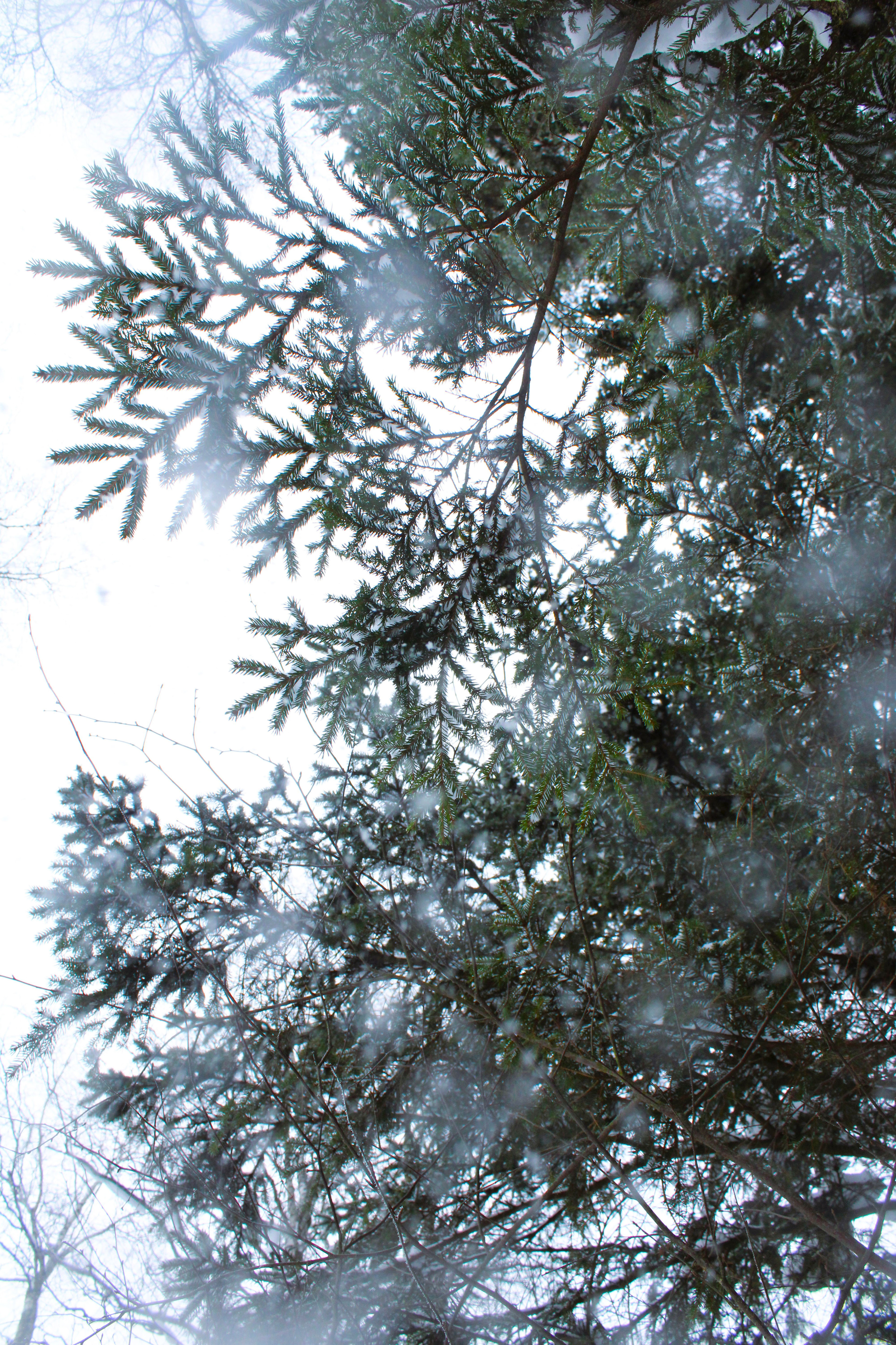 Winter Photoshoot, 17th_kadr — Изображение №56 — Иллюстрация, Графика на Dprofile