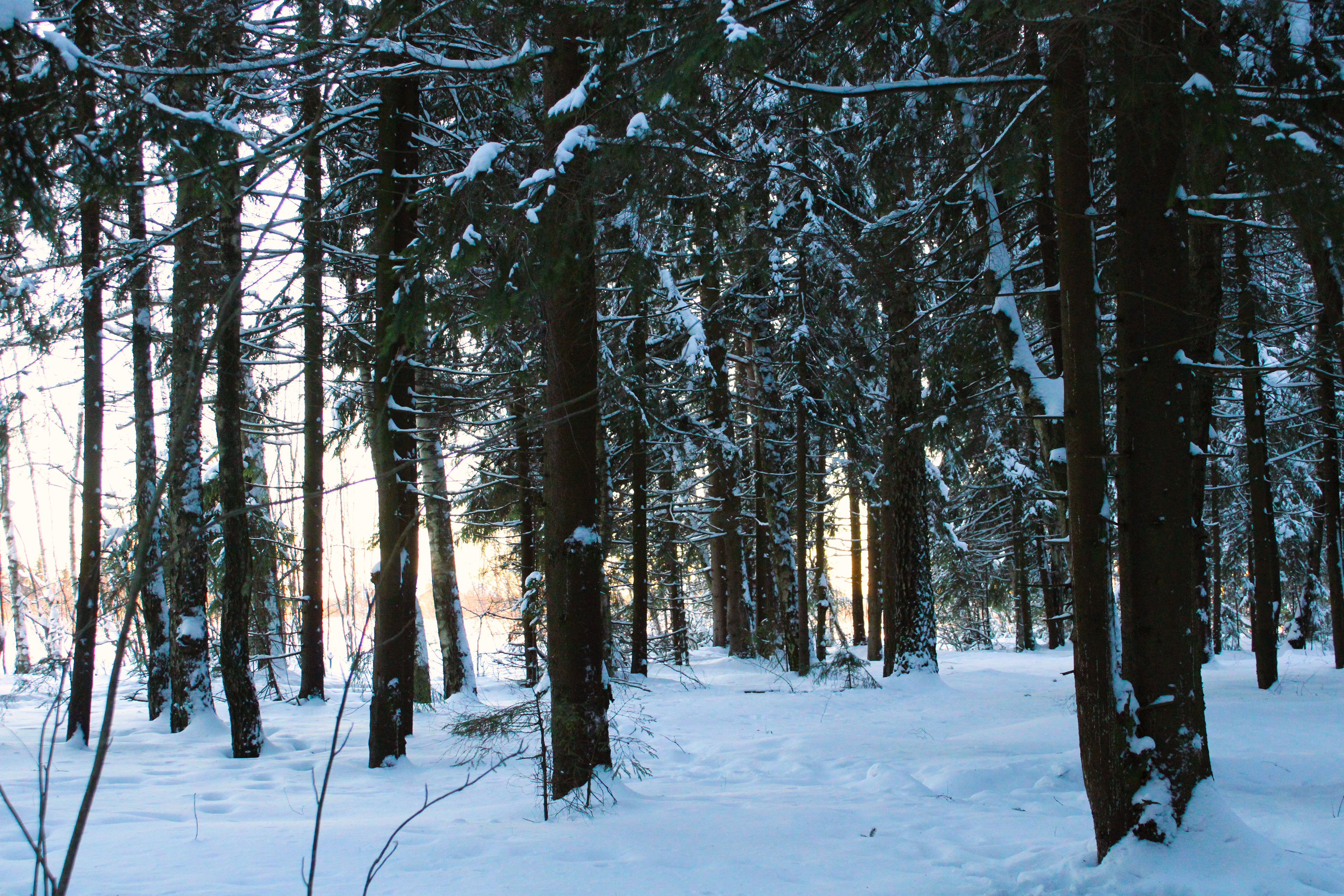 Winter Photoshoot, 17th_kadr — Изображение №6 — Иллюстрация, Графика на Dprofile